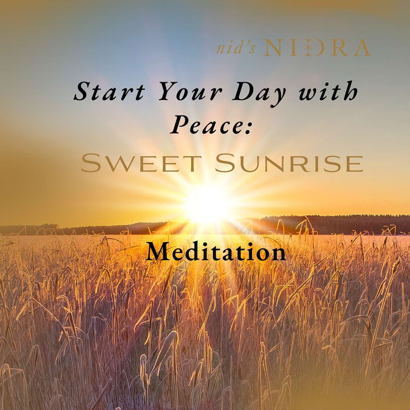 Meditation: Start Your Day with Peace listening to the sounds of a Sweet Sunrise