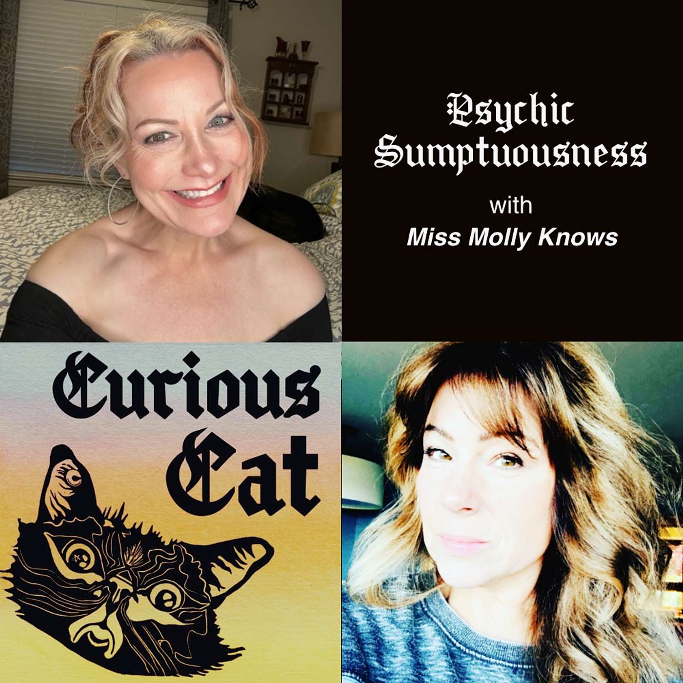 Curious Cat