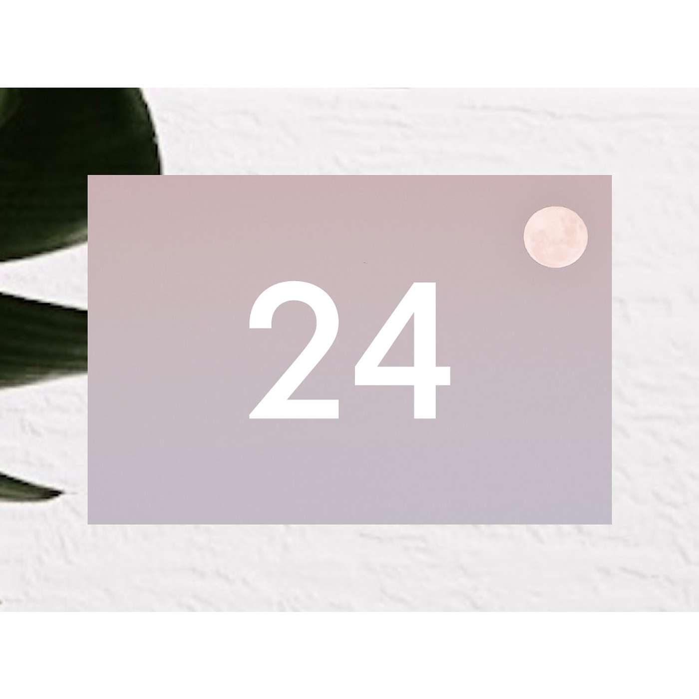 24