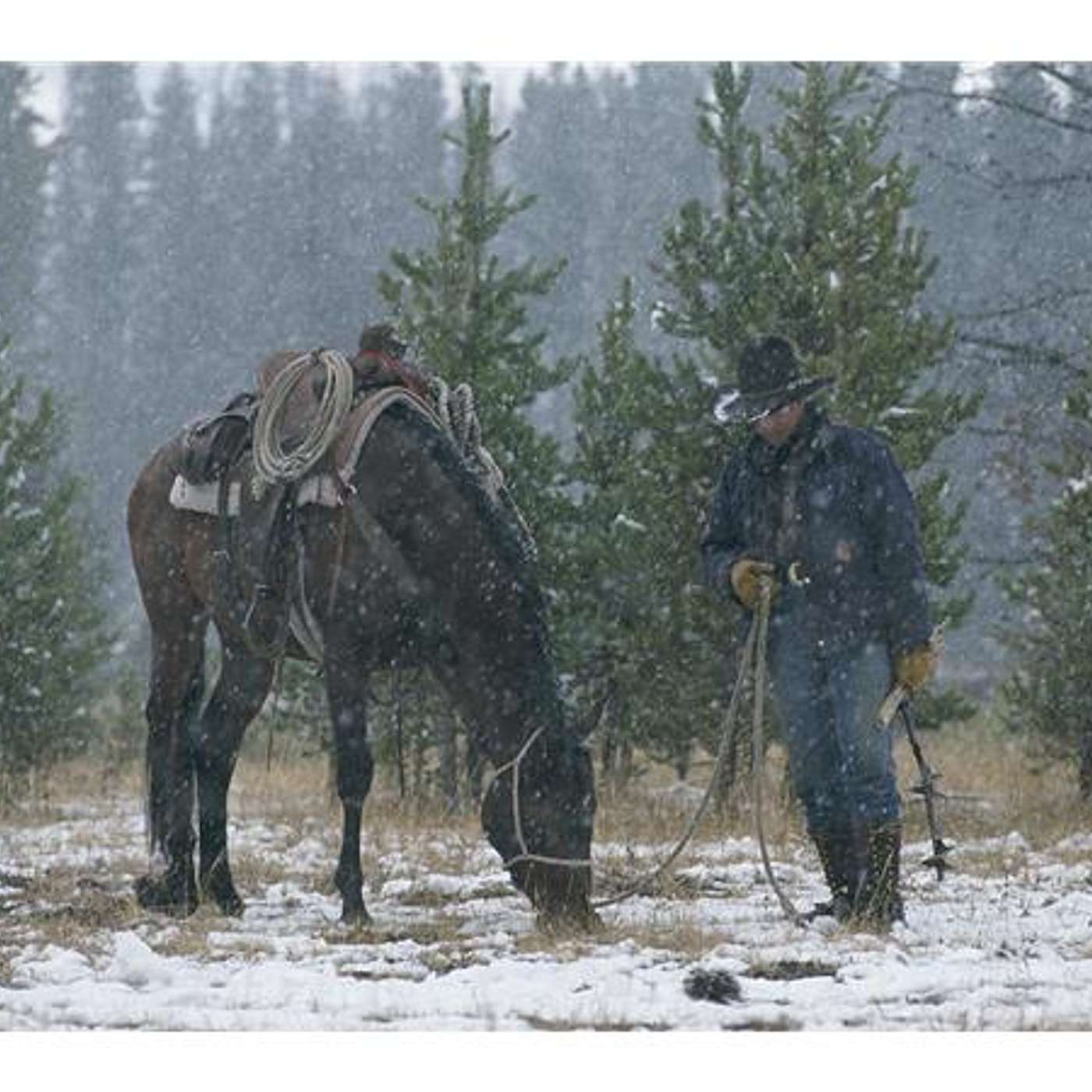 CALLING ALL COWBOYS for FEB 6th on EQUESTRIAN LEGACY RADIO