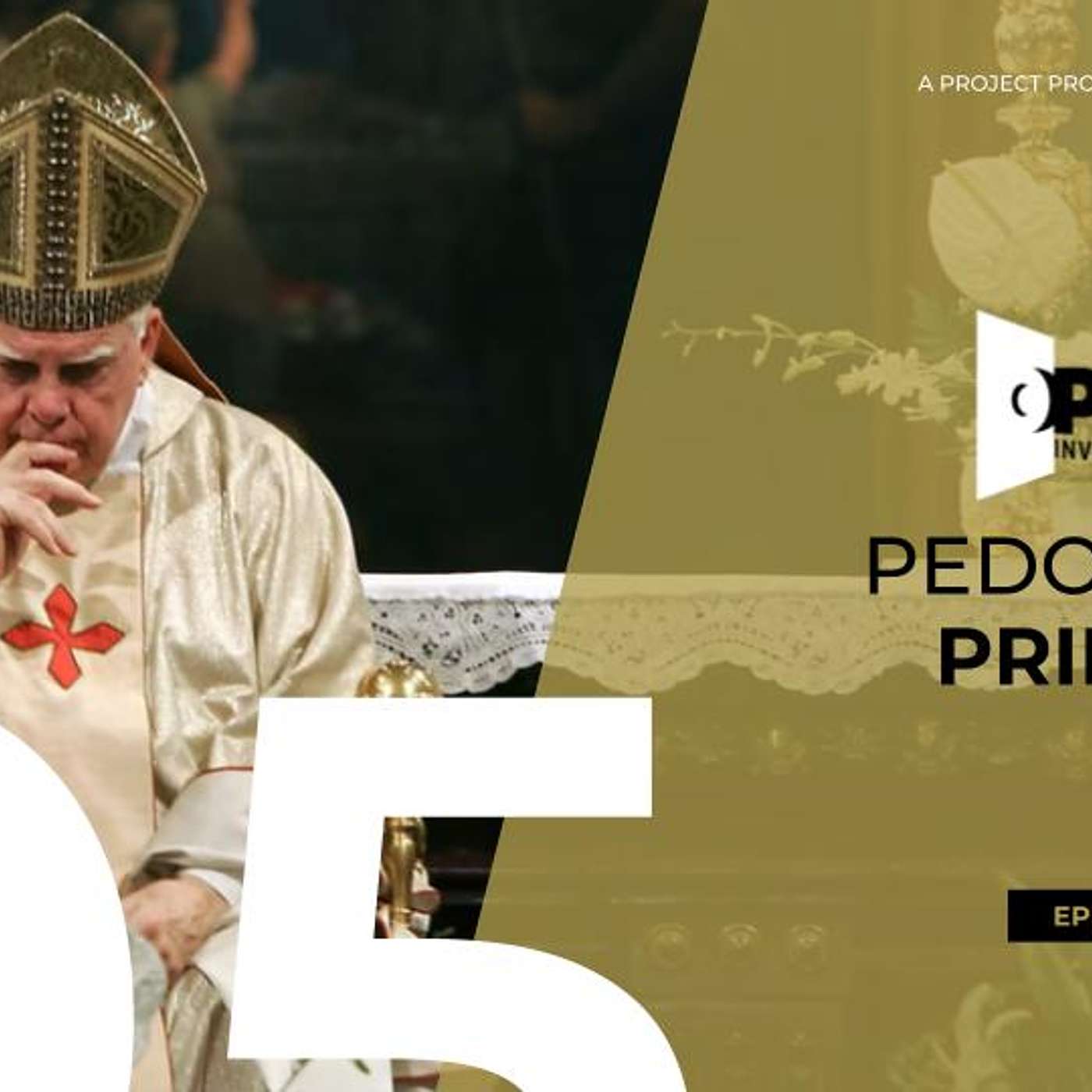 Open Investigation - Pedophile Priests