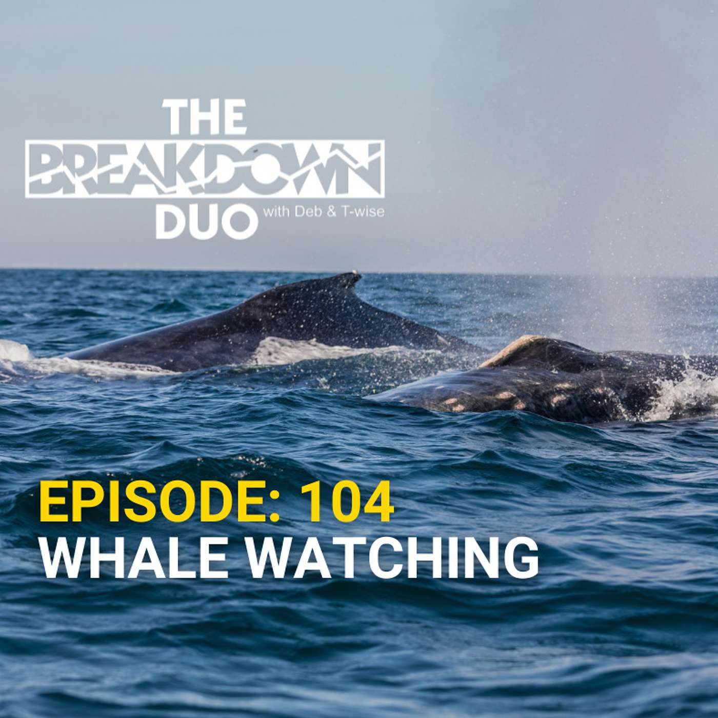 The Breakdown Duo - WHALE WATCHING