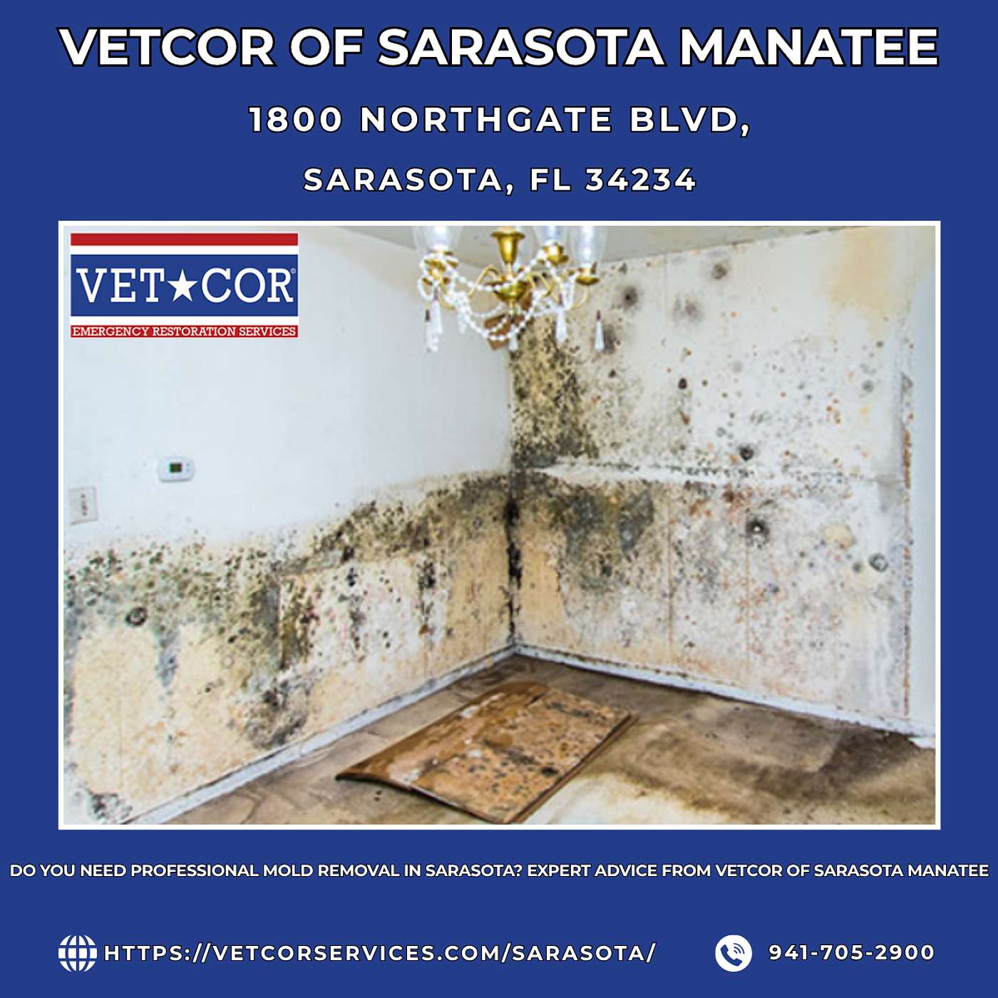 Do You Need Professional Mold Removal in Sarasota? Expert Advice From VetCor of Sarasota Manatee episode artwork