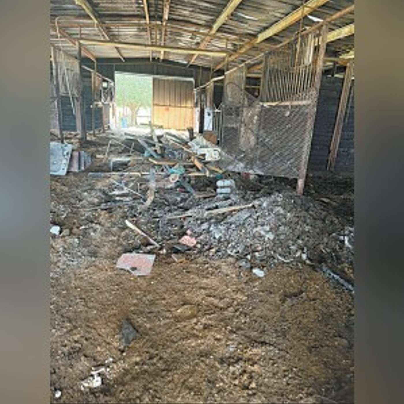 Family loses racehorses, stables to fire episode artwork