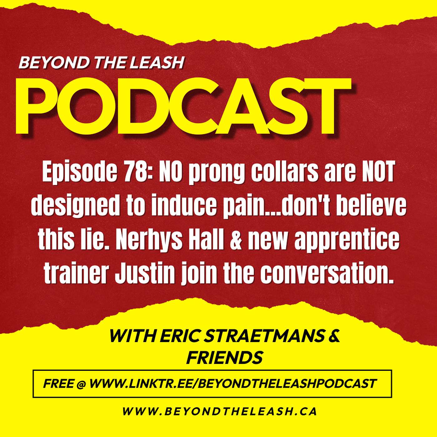 Episode 78: NO prong collars are NOT designed to induce pain...don't believe this lie.