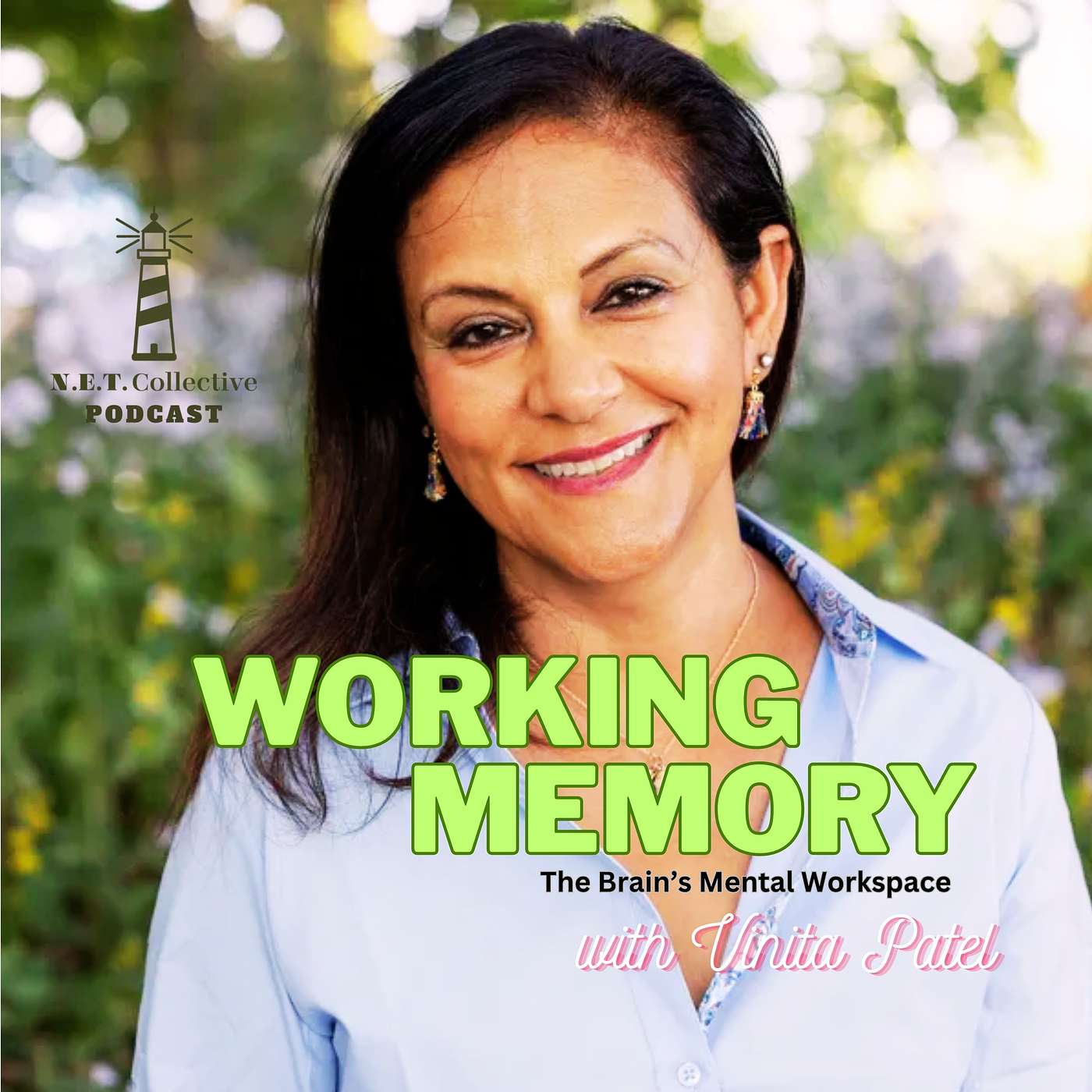 Working Memory - The Brain's Mental Workspace episode artwork