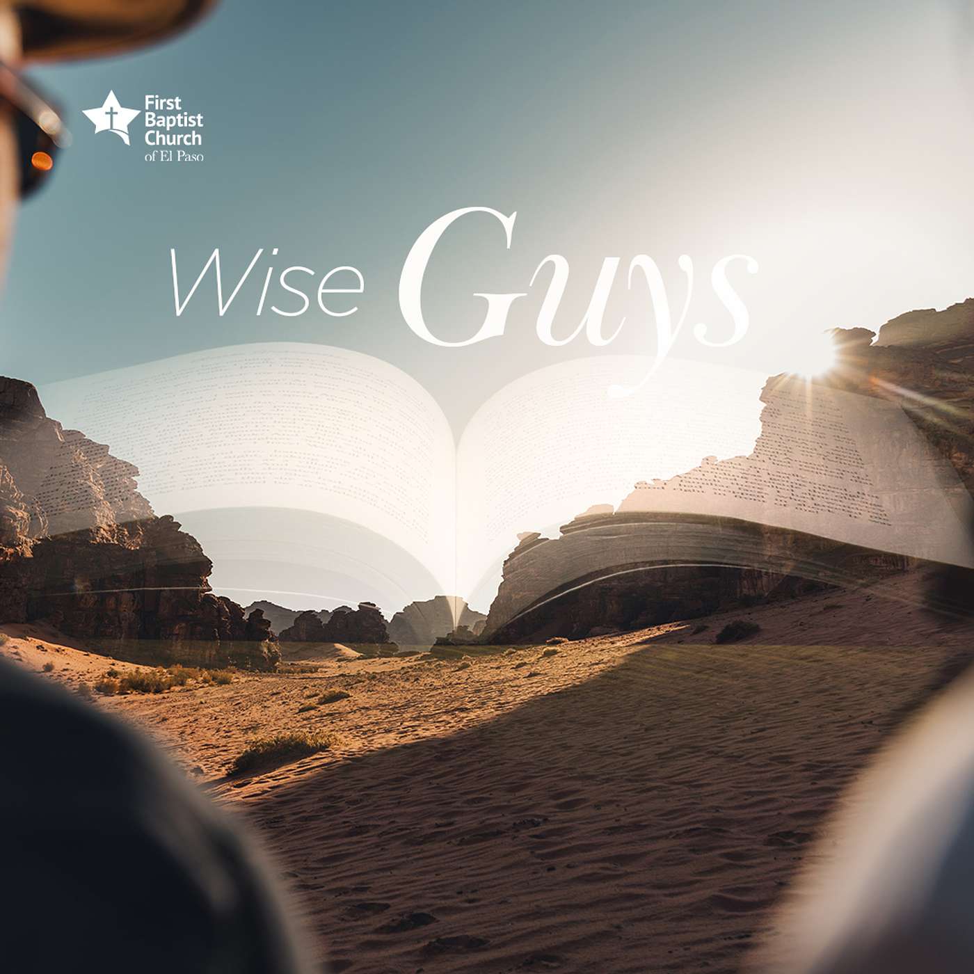 Dead or Alive: Wise Guys