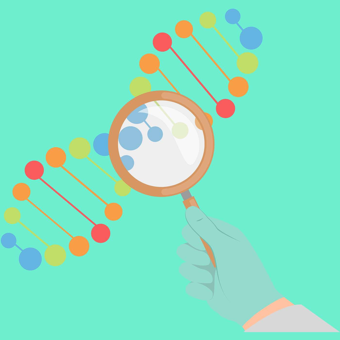 Breaking Down MTHFR Breaking Down MTHFR