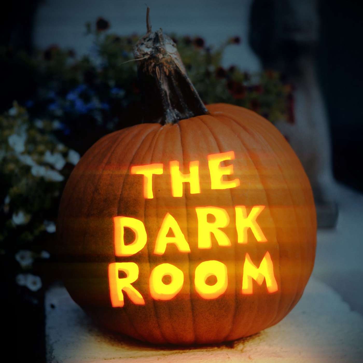 The Dark Room