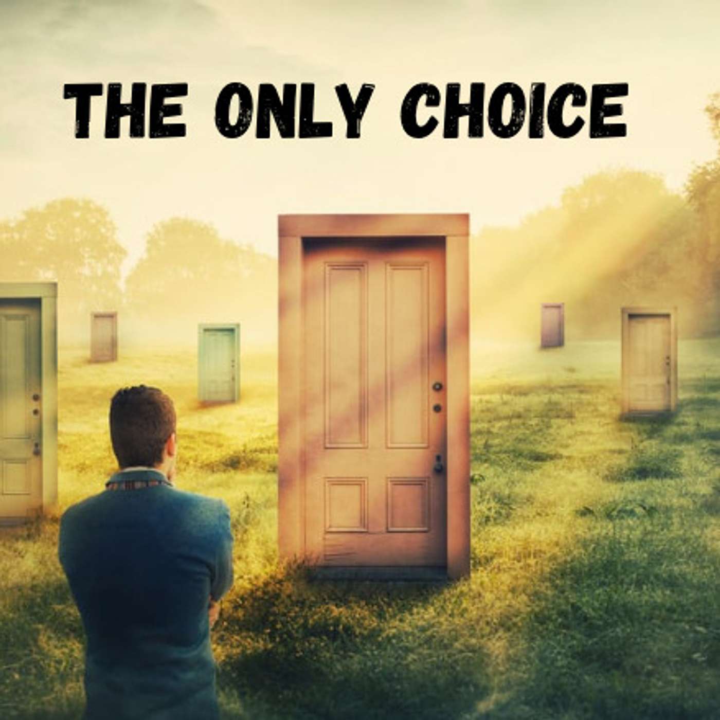 The Only Choice episode artwork