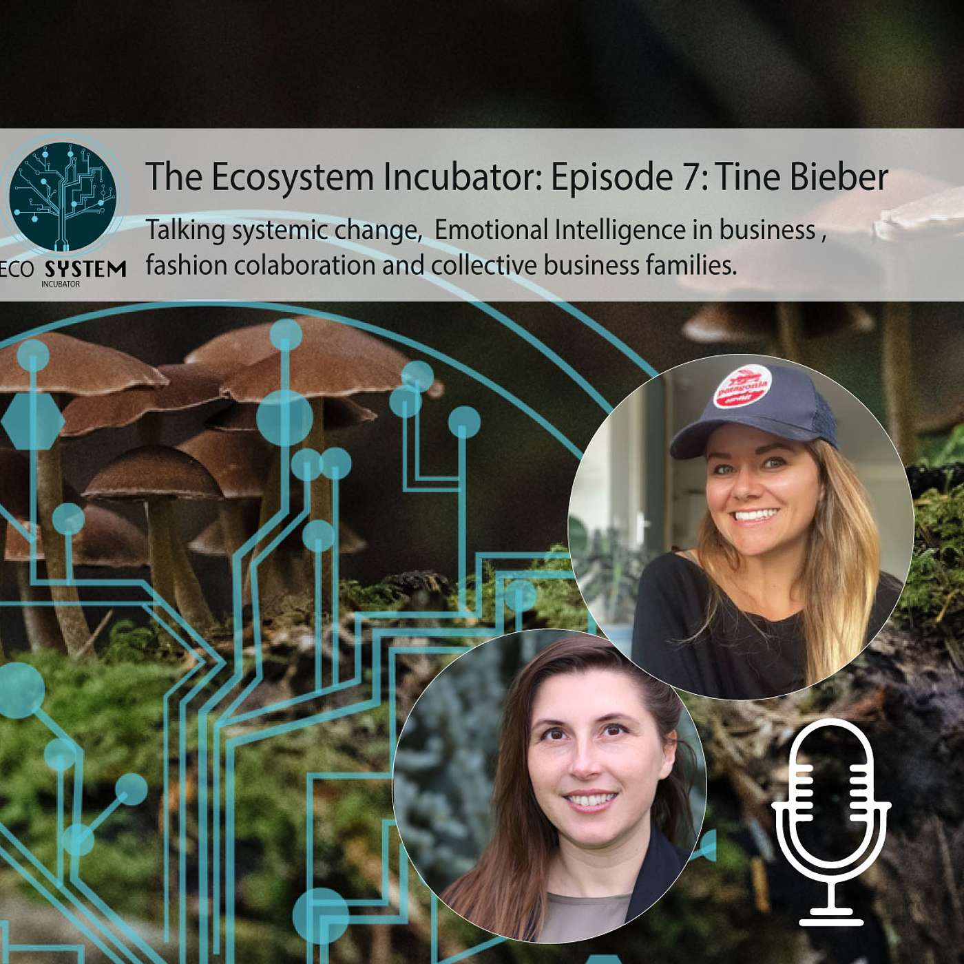 The Ecosystem Incubator, Tine Bieber, EMMA textile, A new structure doesn't change a mindset