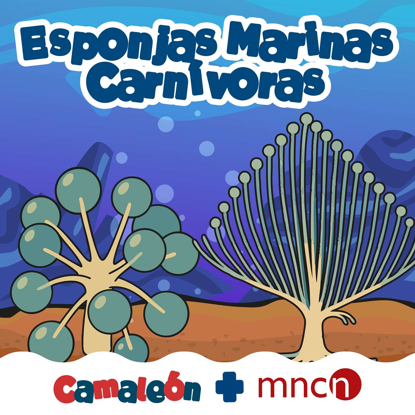 Esponjas carnívoras: cazadoras silenciosas del abismo episode artwork