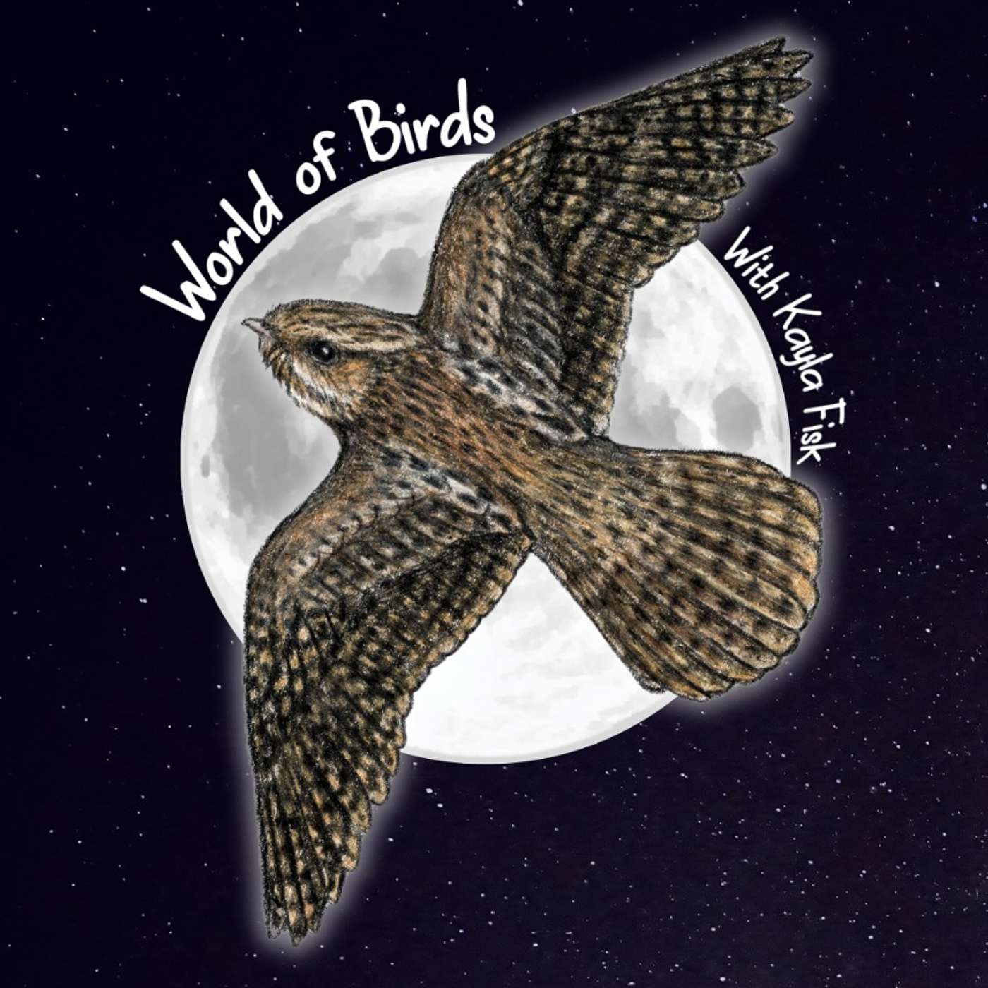 World of Birds - Bird Behaviors: Caching
