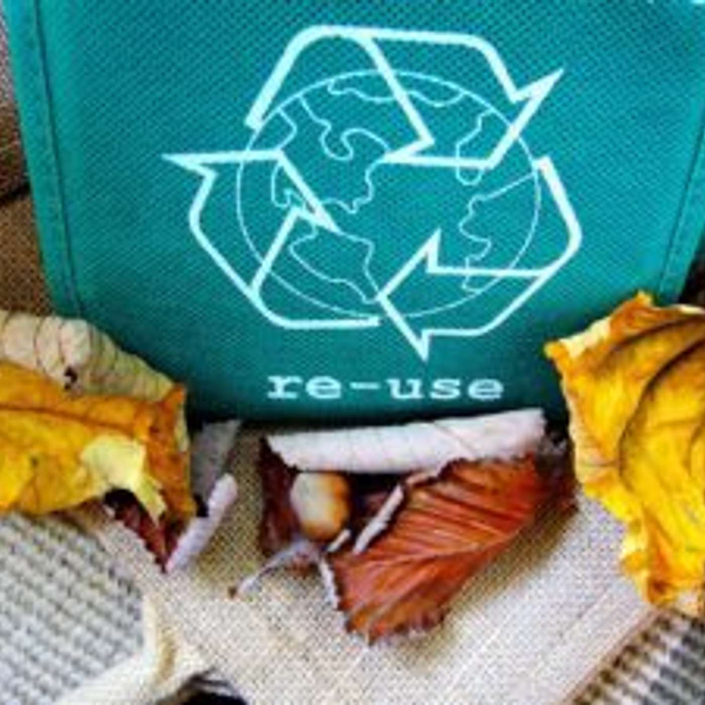 Zero Waste Day in Tempe: Free Recycling Event episode artwork