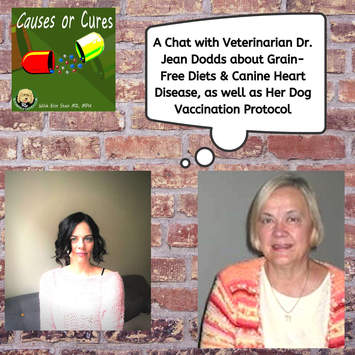 The Grain-Free Diet in Dogs & Dog Vaccination Protocols: An Interview with Dr. Jean Dodds
