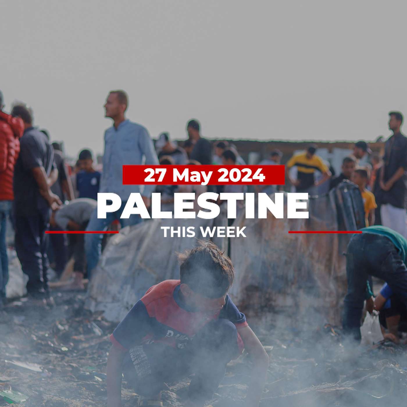 Palestine This Week