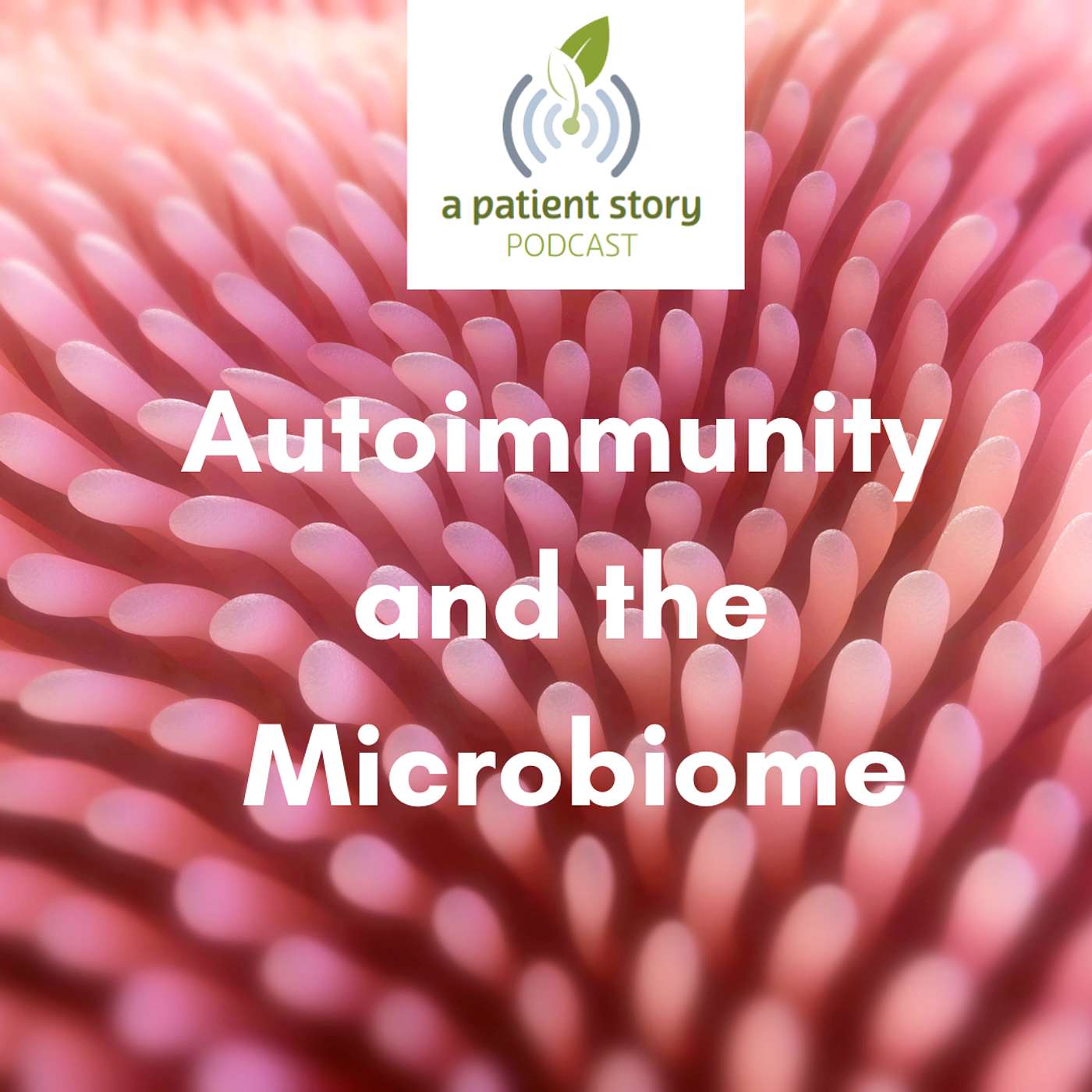 Autoimmunity and the Microbiome episode artwork