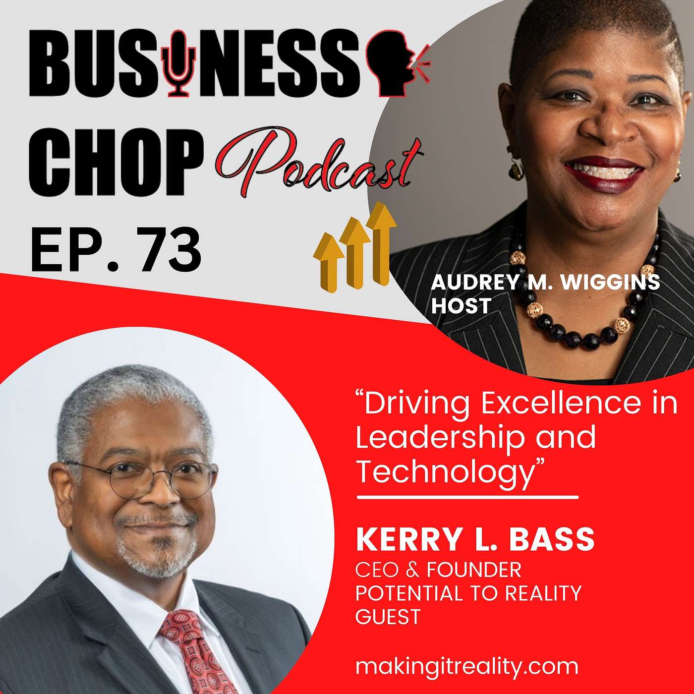 Driving Excellence in Leadership and Technology: Perspectives from Kerry L. Bass episode artwork