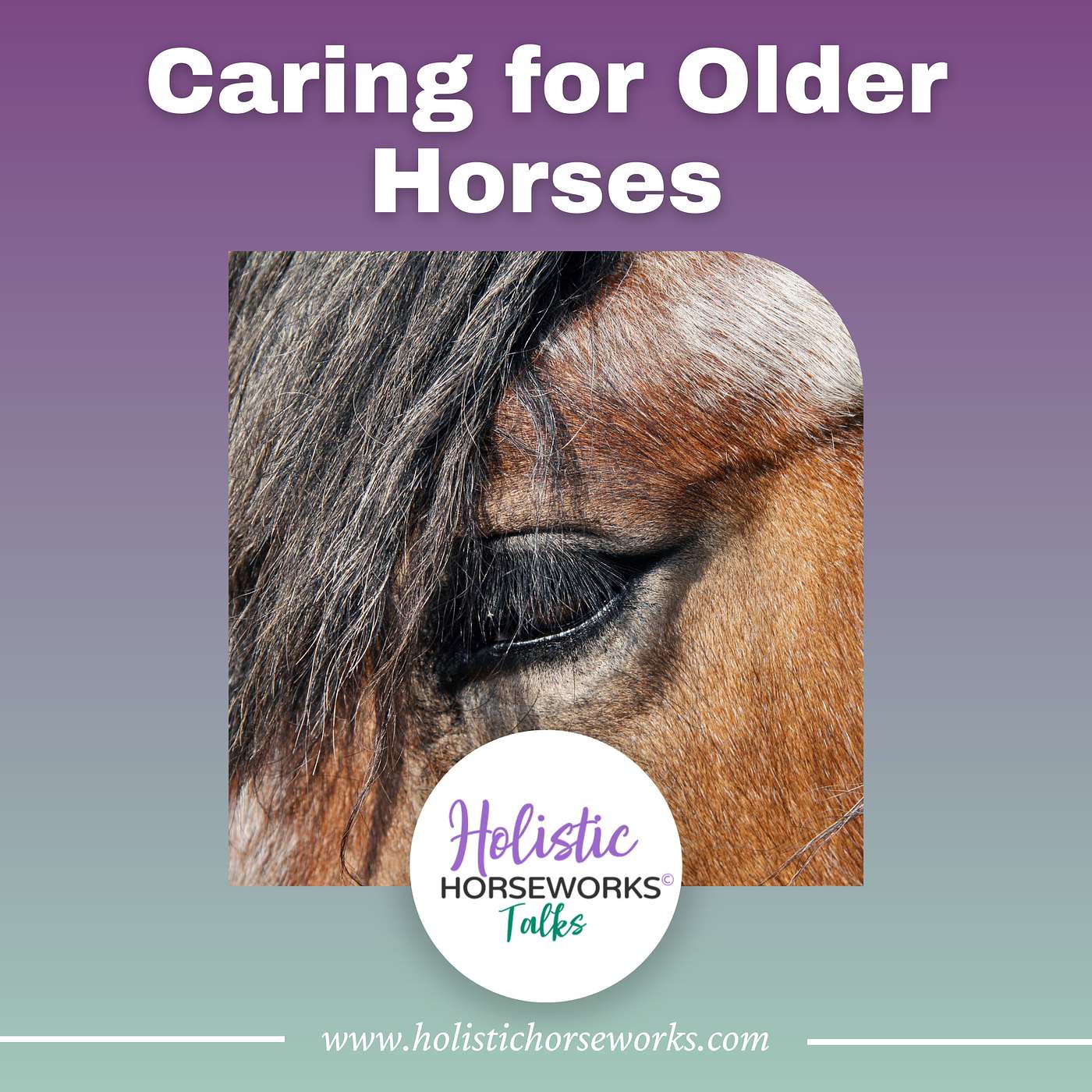 Holistic Horseworks Talks with April Love