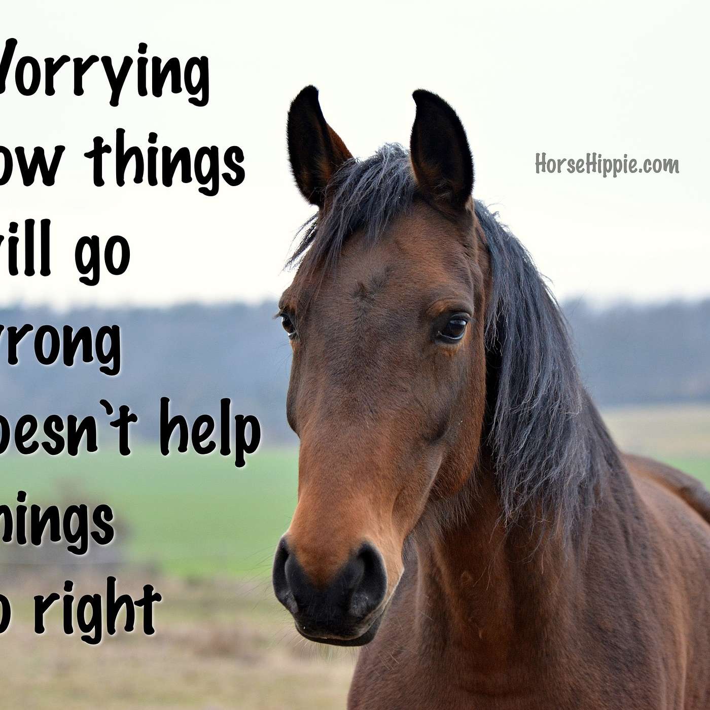 Overthinking Doesn’t Change Anything
