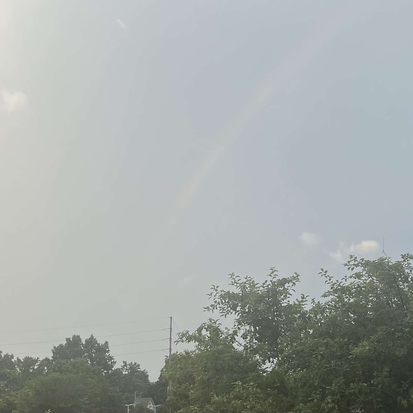 Don’t stop thinking about Tomorrow; here is your Rainbow, Sow Love, GROW episode artwork
