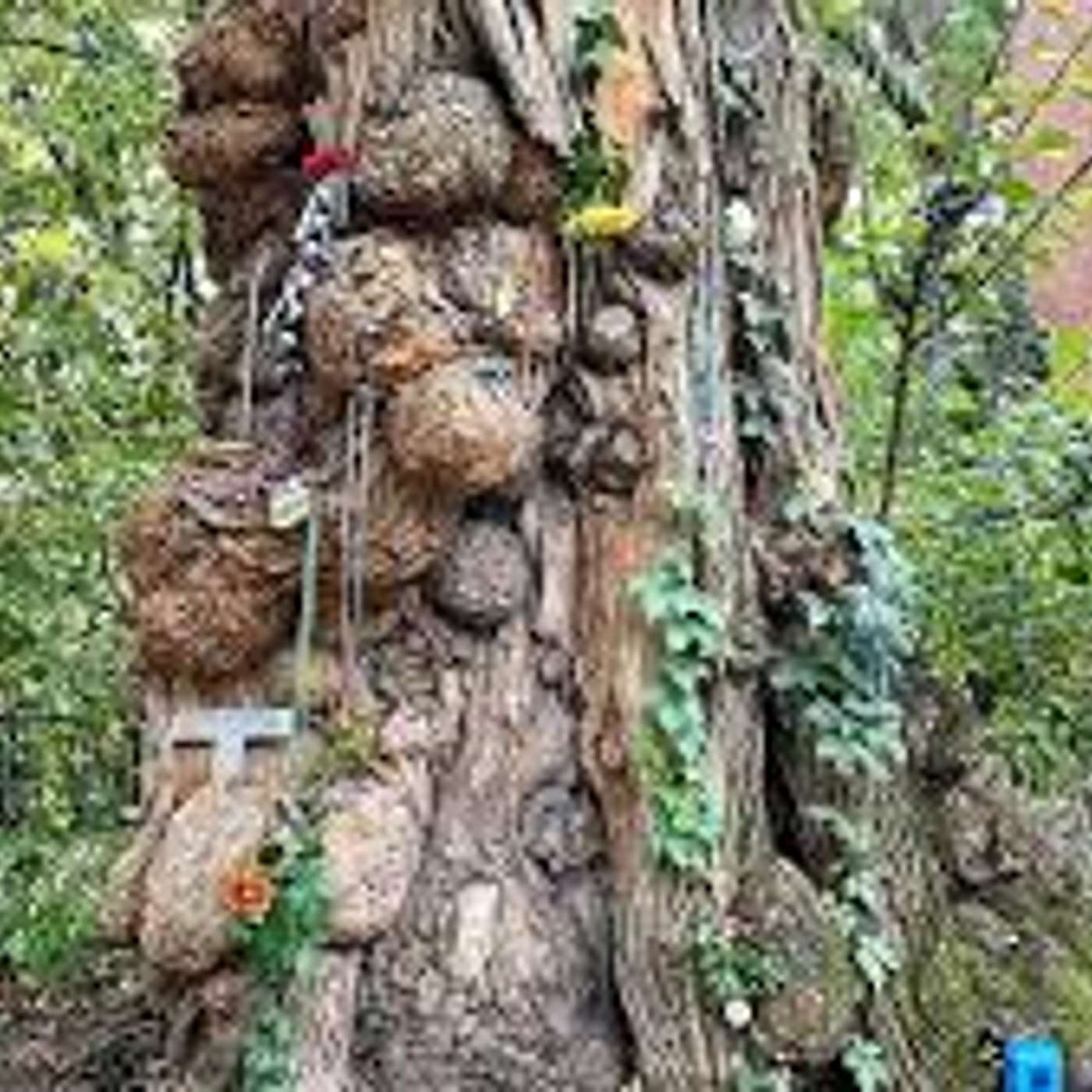 8 Louisville, Kentucky Ghost Stories and Urban Legends (VWS Edition)