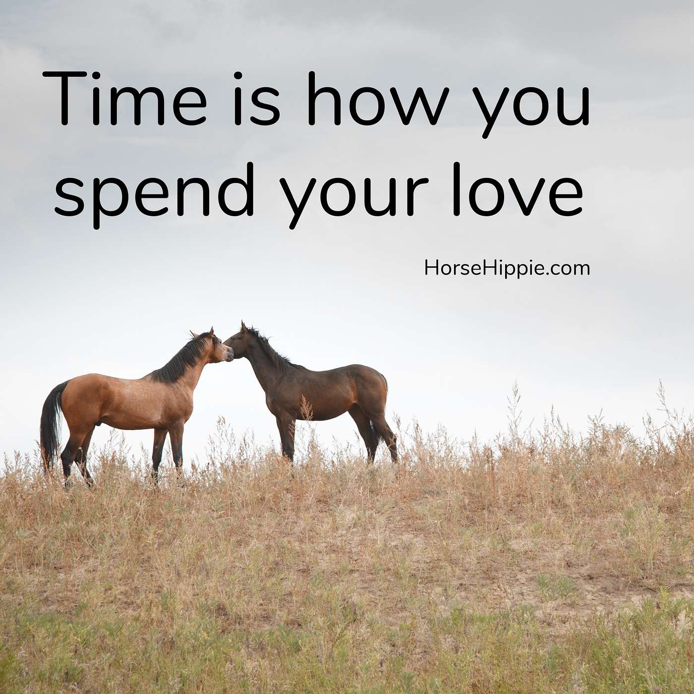 Wise With Your Time episode artwork