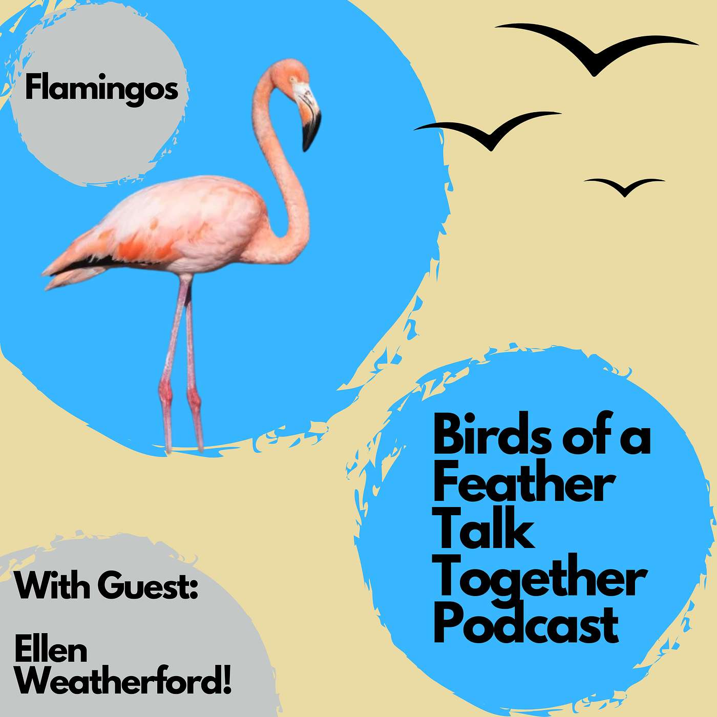 122: Flamingos with Ellen Weatherford