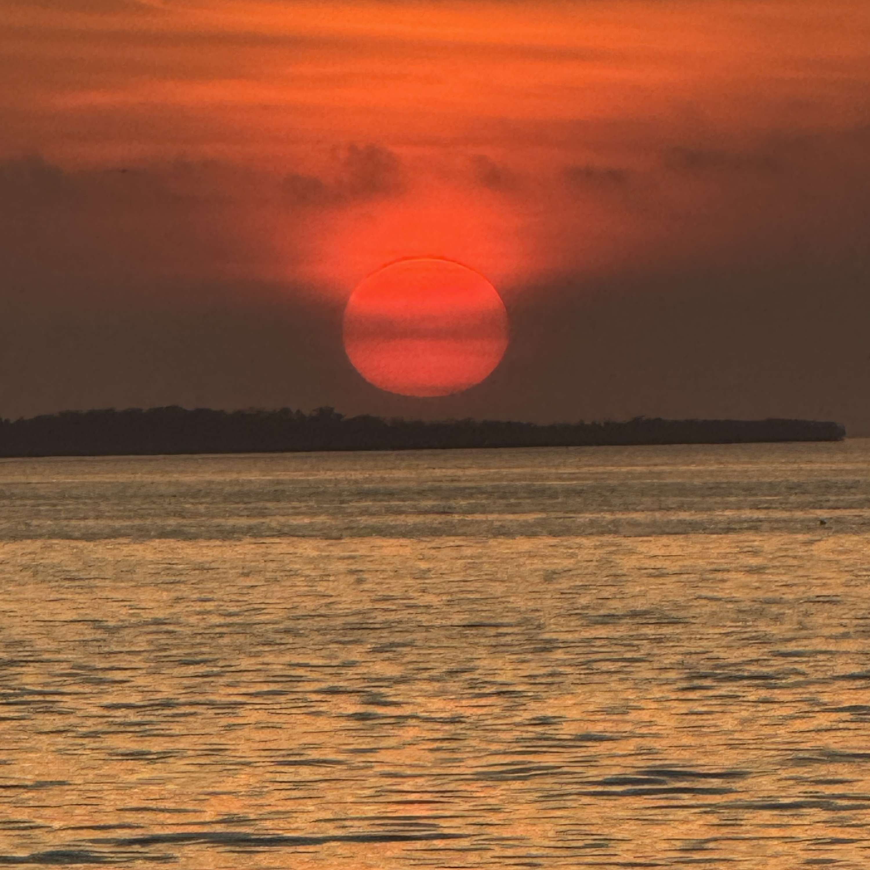 NovCog AI et al  Podcast