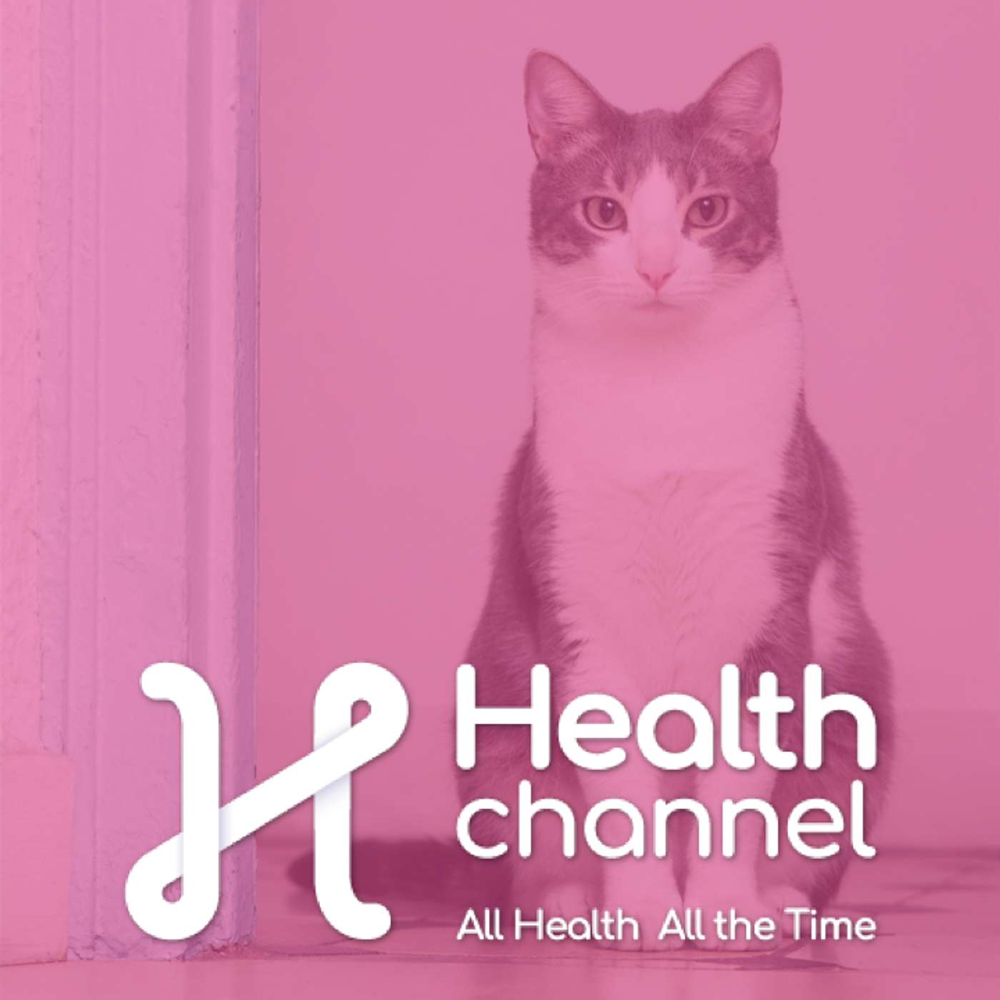 Pet-Proofing Your Home 101 | Ask The Doc episode artwork