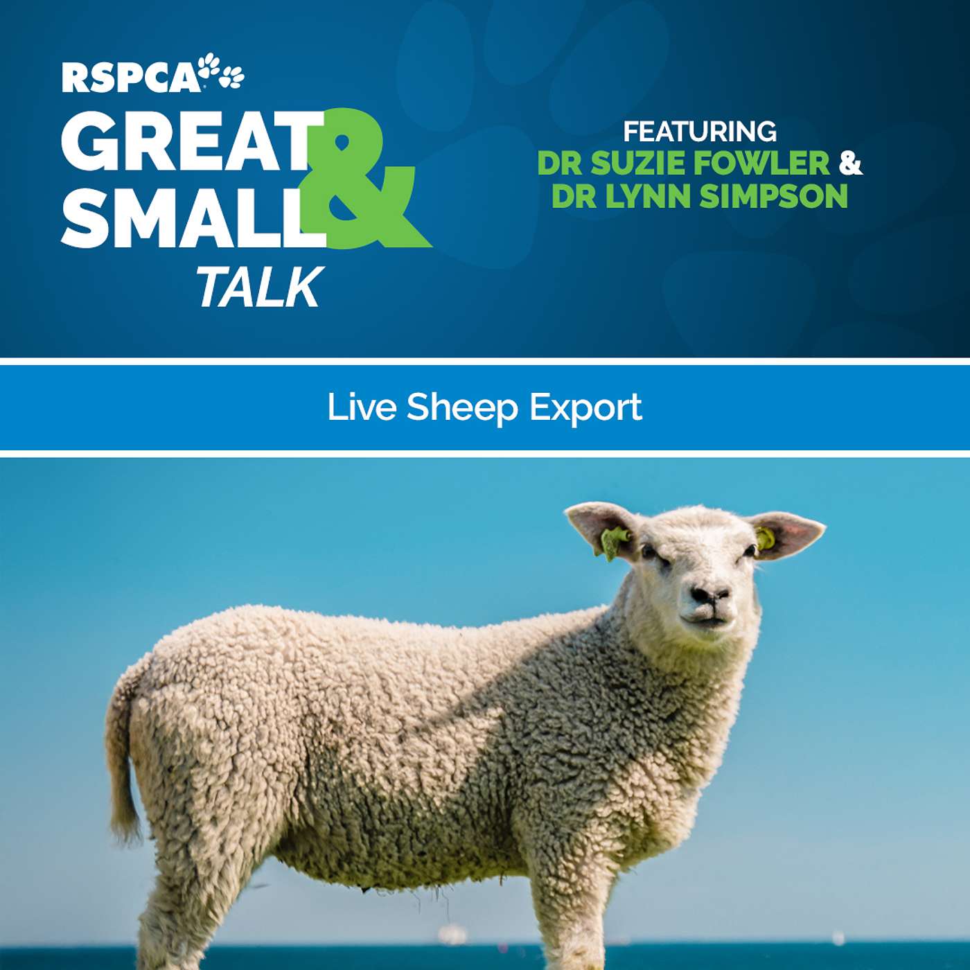 RSPCA Australia\'s Great & Small Talk