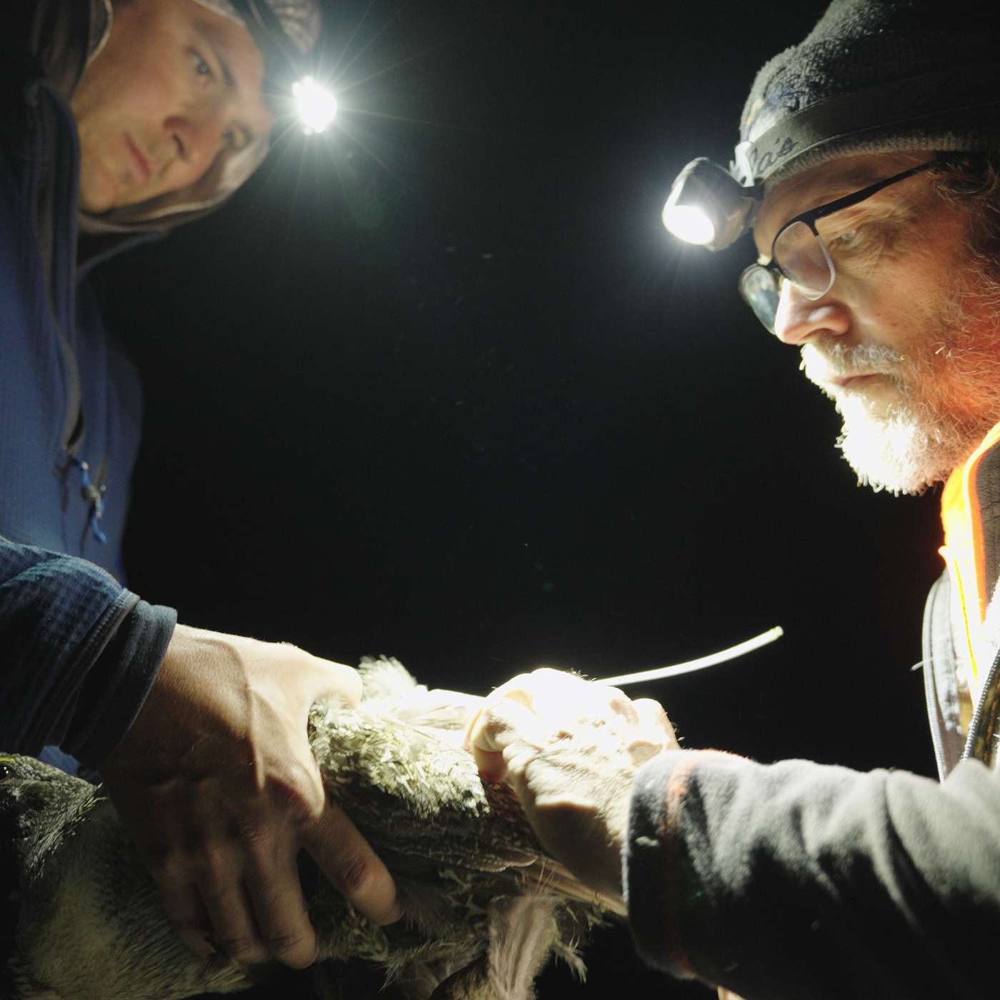 Dead Birds Flying — and the Science of Second Chances with Dr Christian Hagen