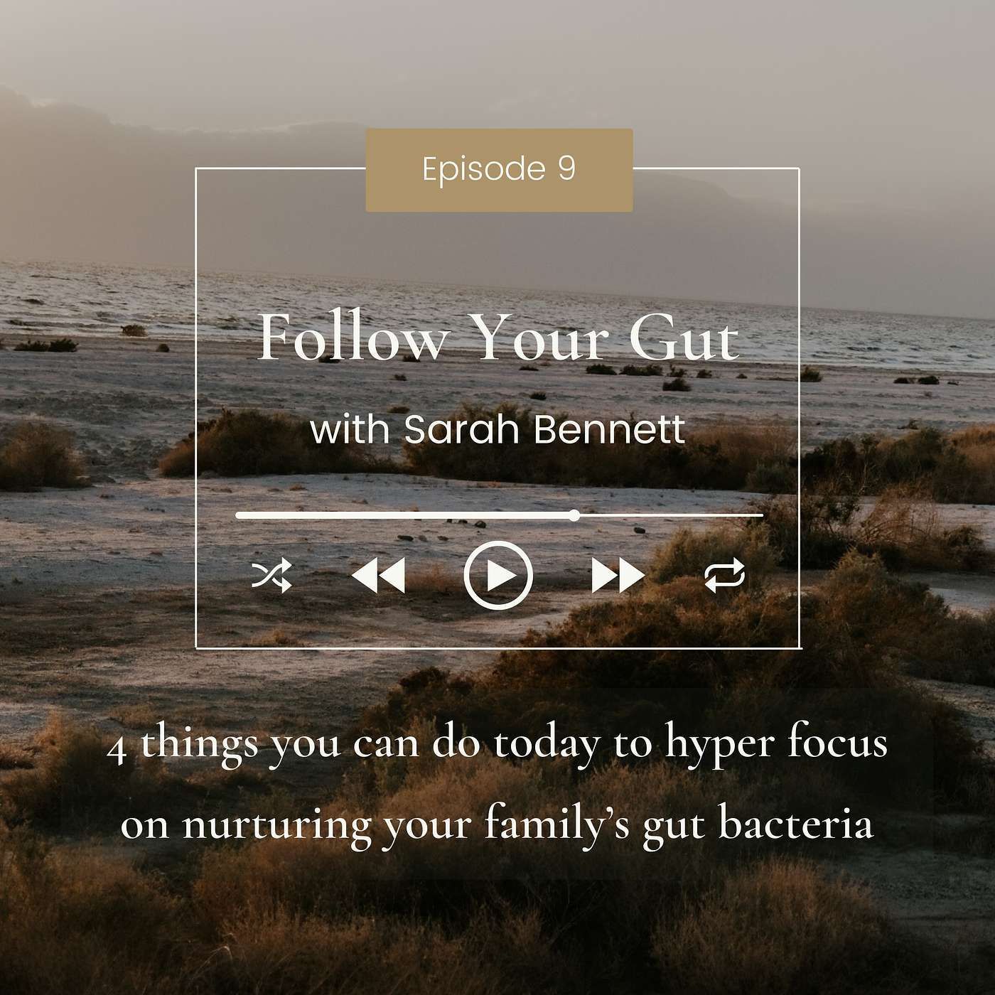 4 things you can do today to hyper focus on nurturing your family’s gut bacteria