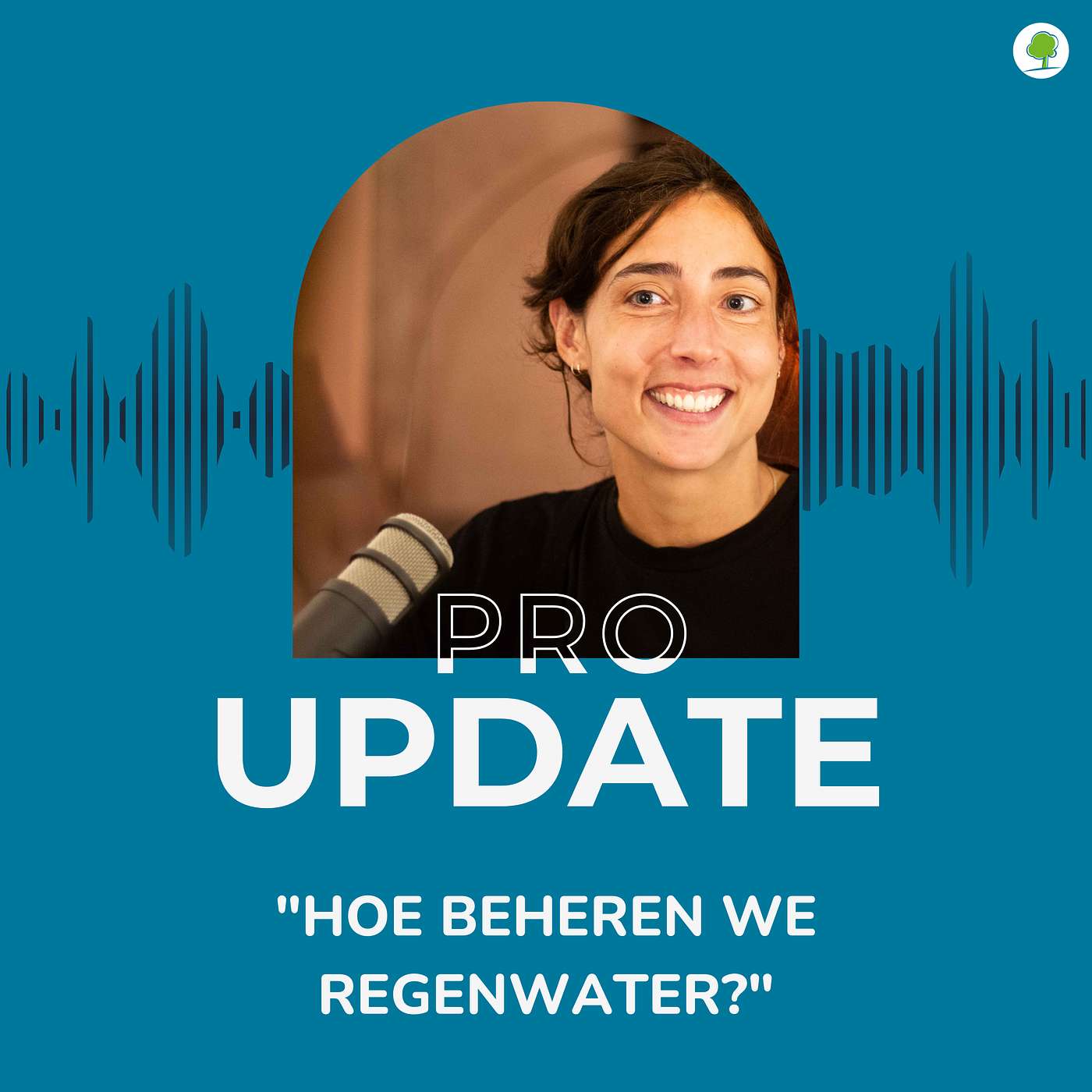 Opvang en infiltratie van regenwater: een rendabele en duurzame oplossing