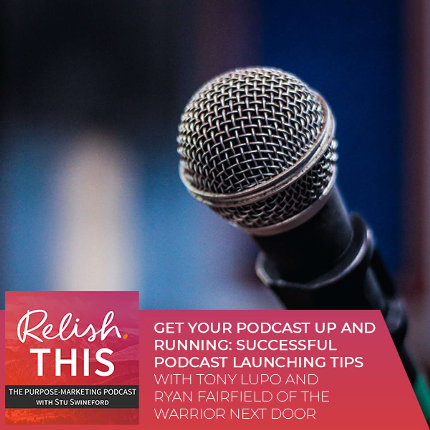 Relish THIS: The Nonprofit Marketing Podcast
