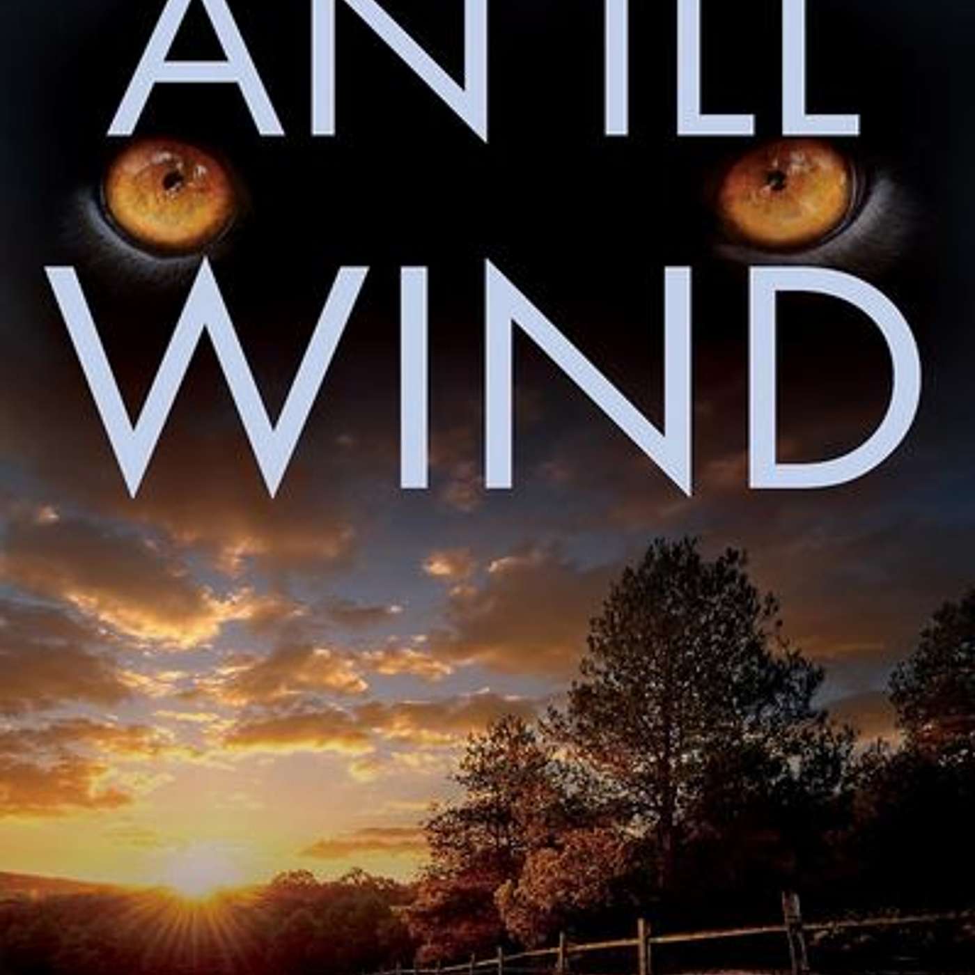It's An Ill Wind, author Pam Keevil