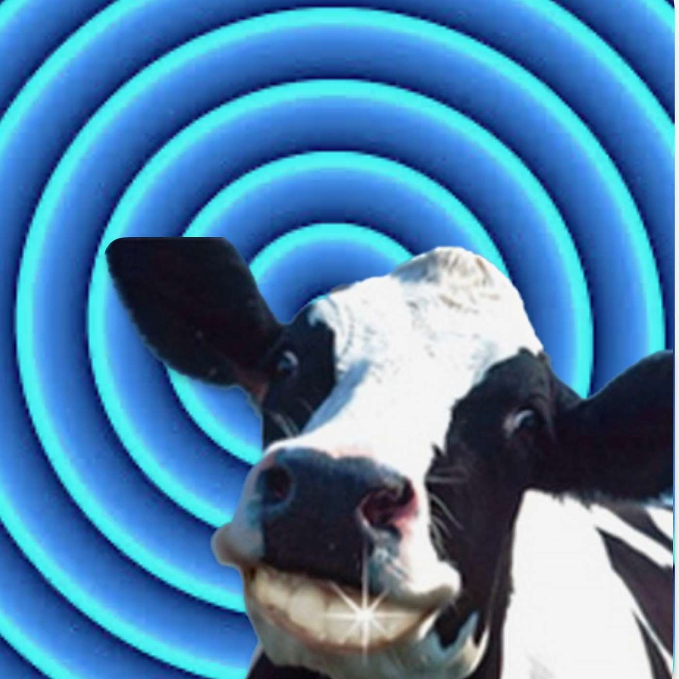 Toothy Cow