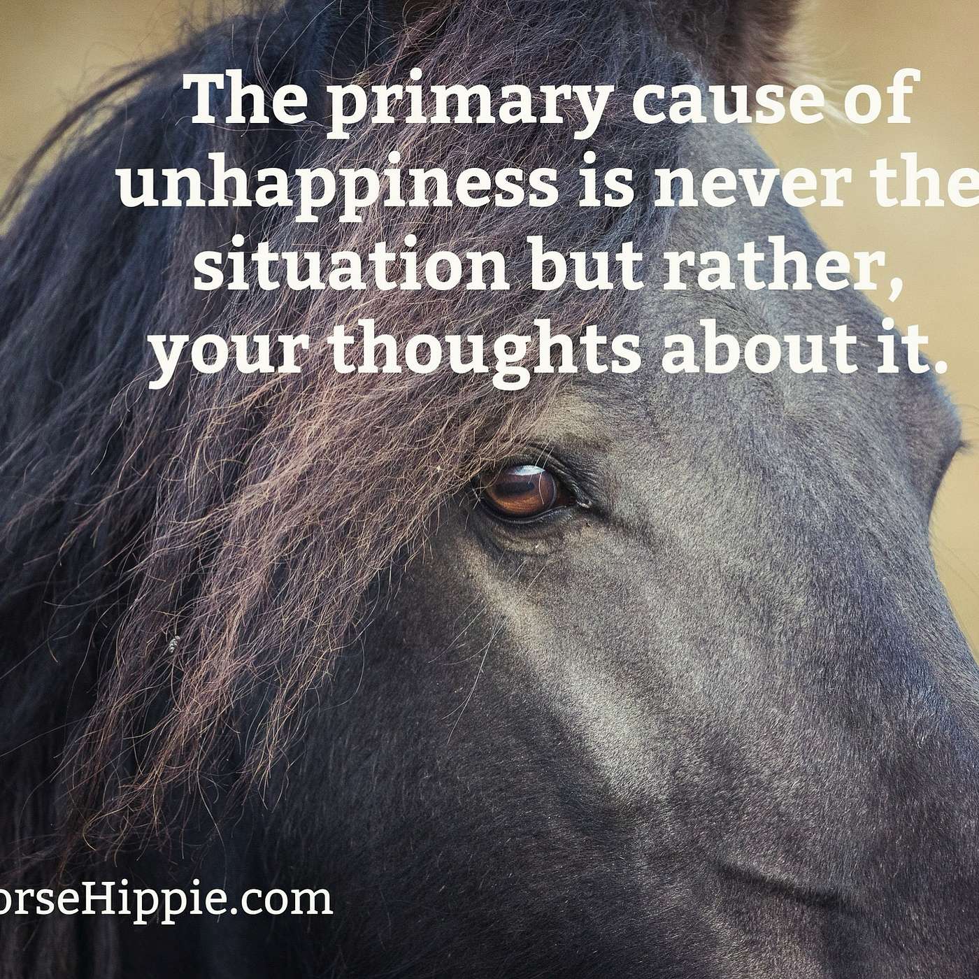 How Thoughts Affect Your Life