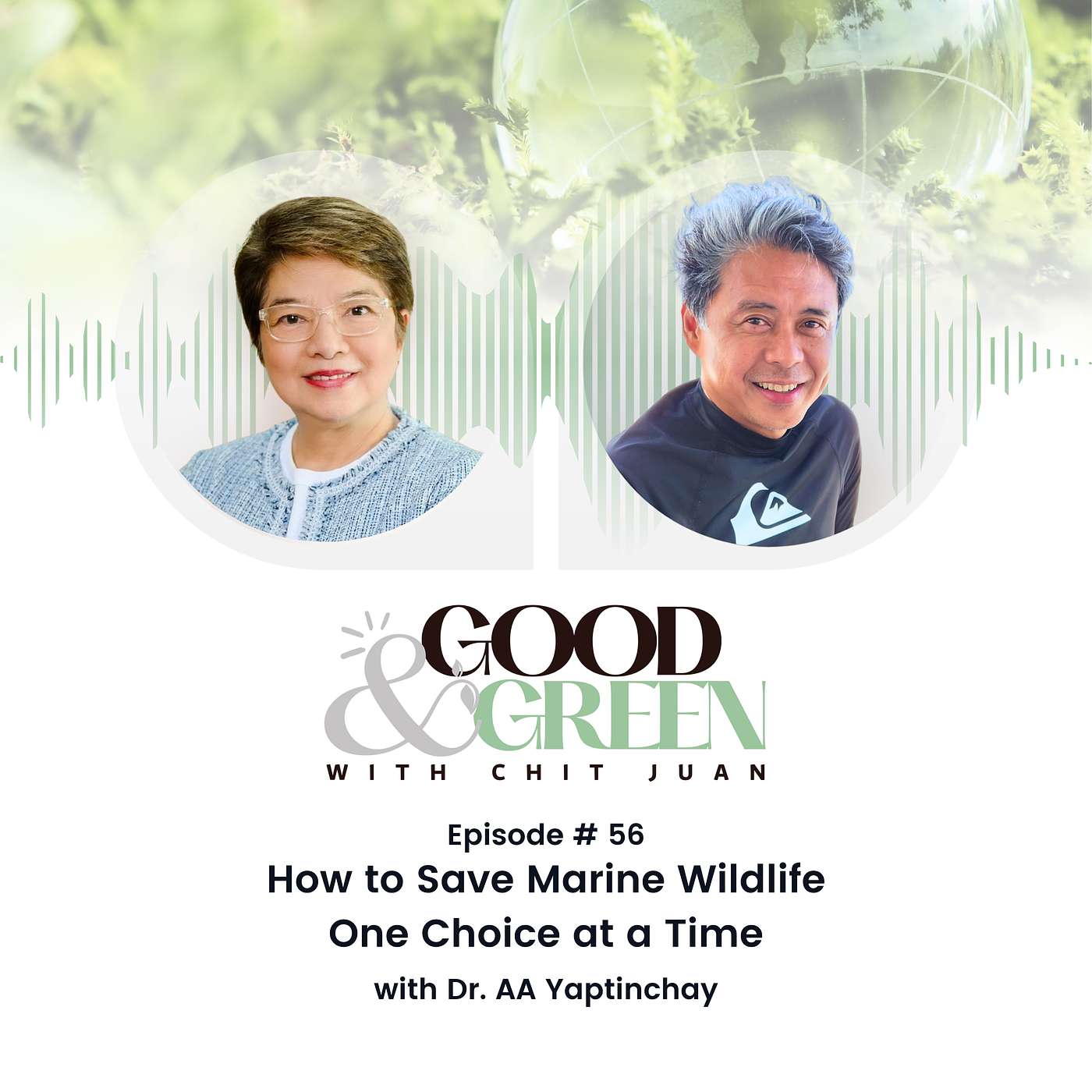 How to Save Marine Wildlife One Choice at a Time with Dr. AA Yaptinchay episode artwork