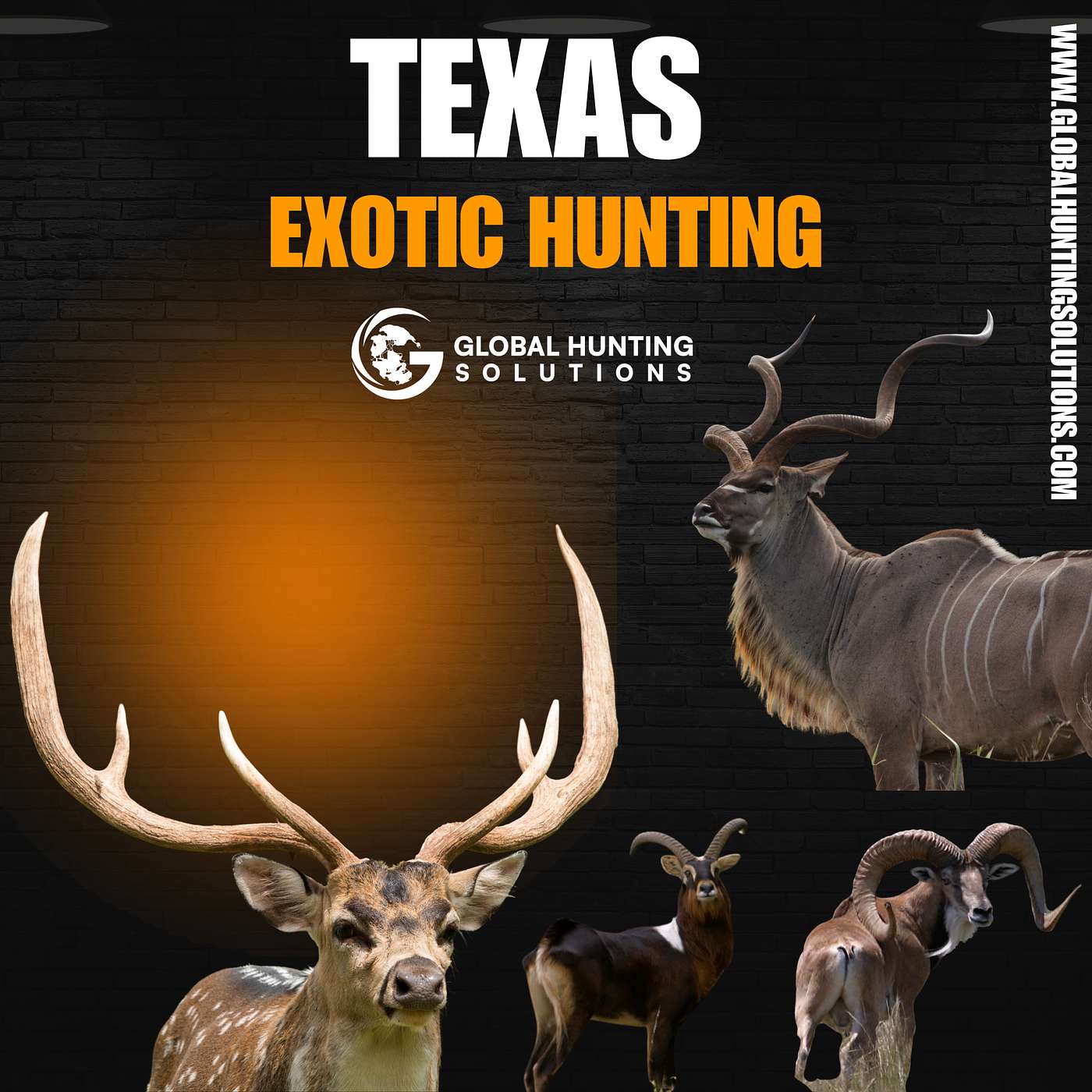 Global Hunting Solutions