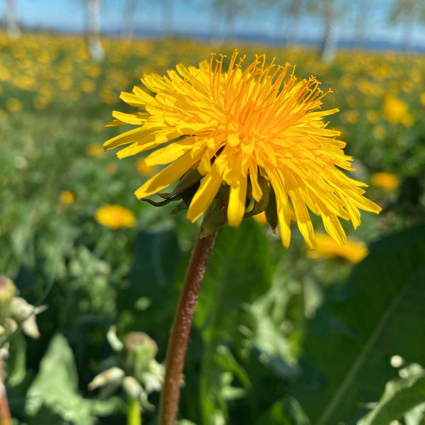 E15 - ¿Frío en Alemania? Mantén el ánimo y logra tus objetivos E15 - ¿Frío en Alemania? Mantén el ánimo y logra tus objetivos