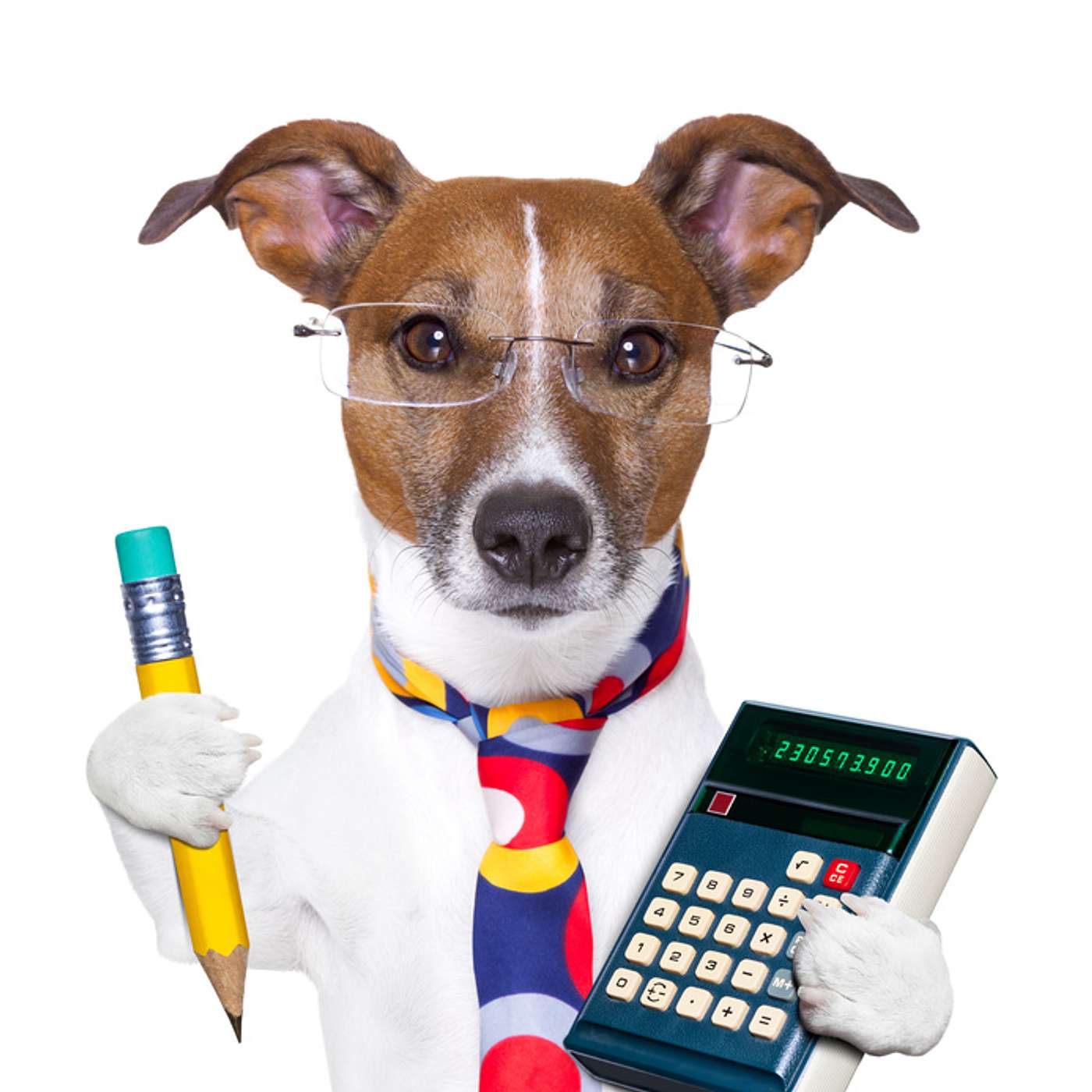 The Property Buyer & Sellers Podcast 17  Sept 2021