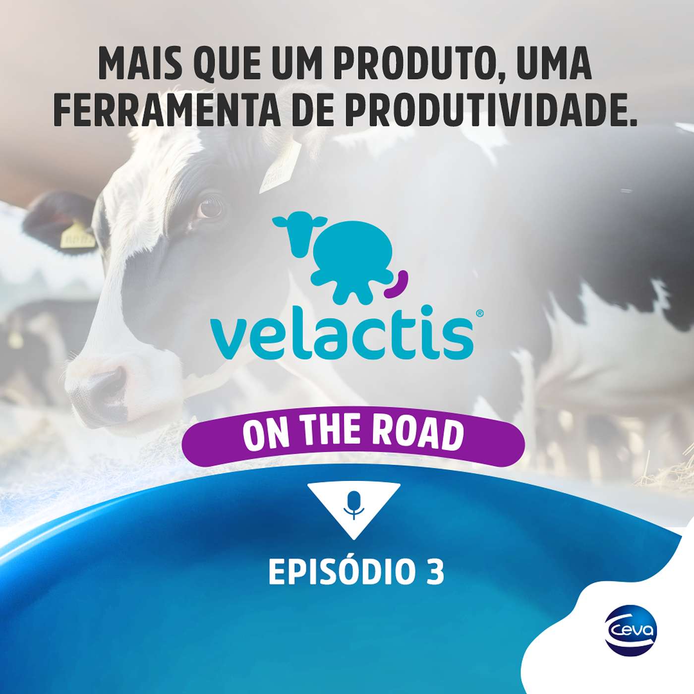 Velactis On The Road #03 | Mais que um produto, uma ferramenta de produtividade episode artwork
