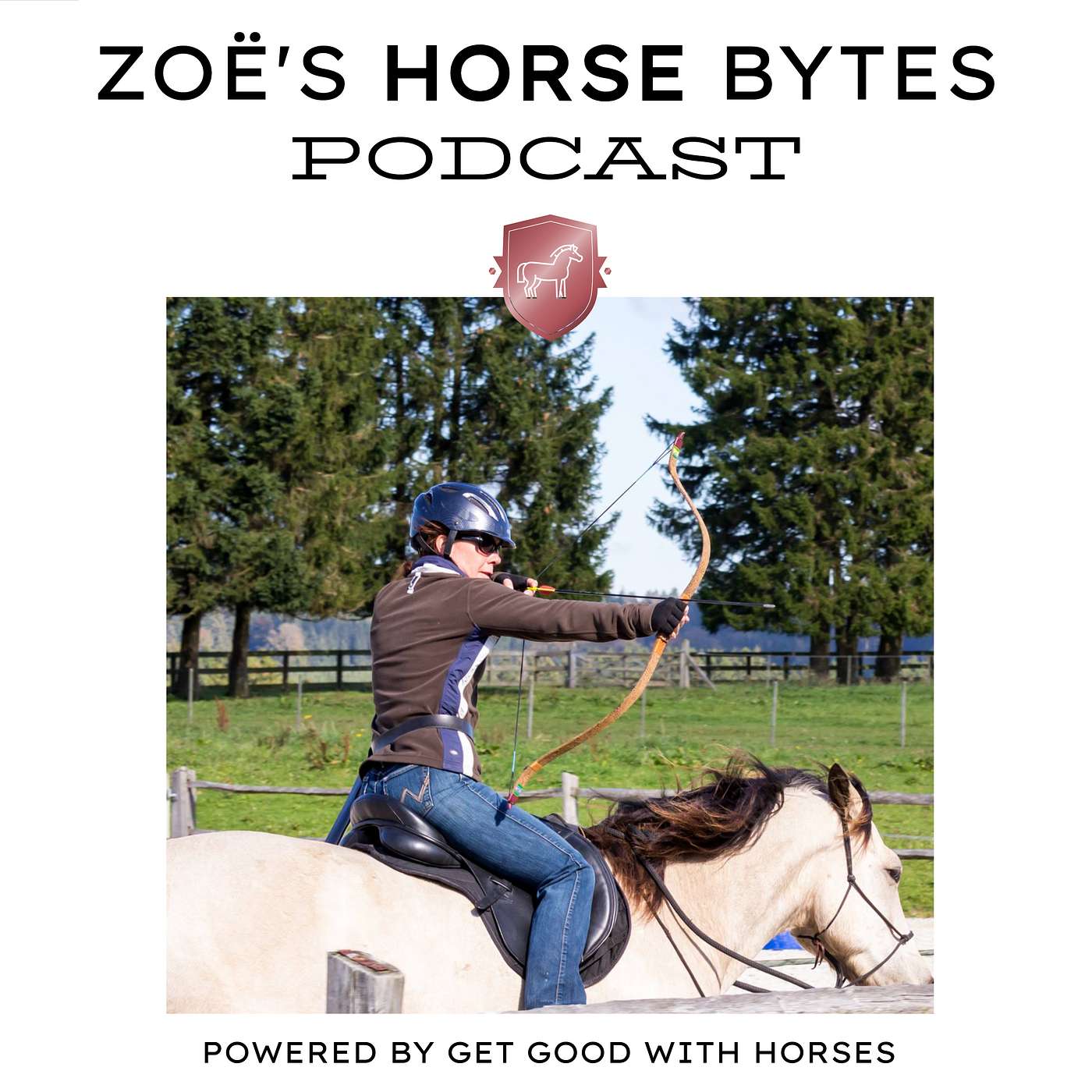 41. How to regulate good horsemanship episode artwork