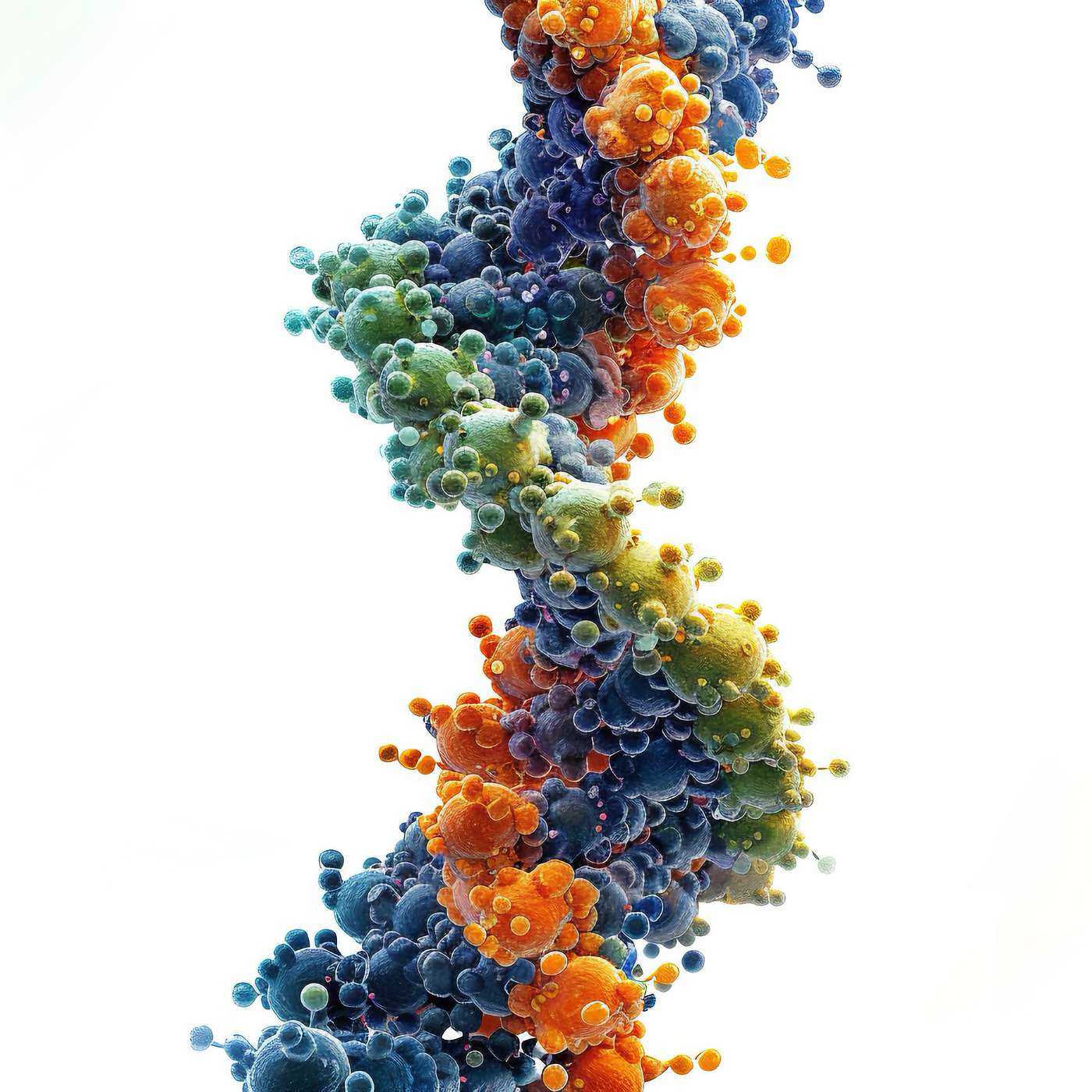 An Emergent System: Chromatin Conformation, Transcription, and Nucleosome Remodeling (E2 S25)