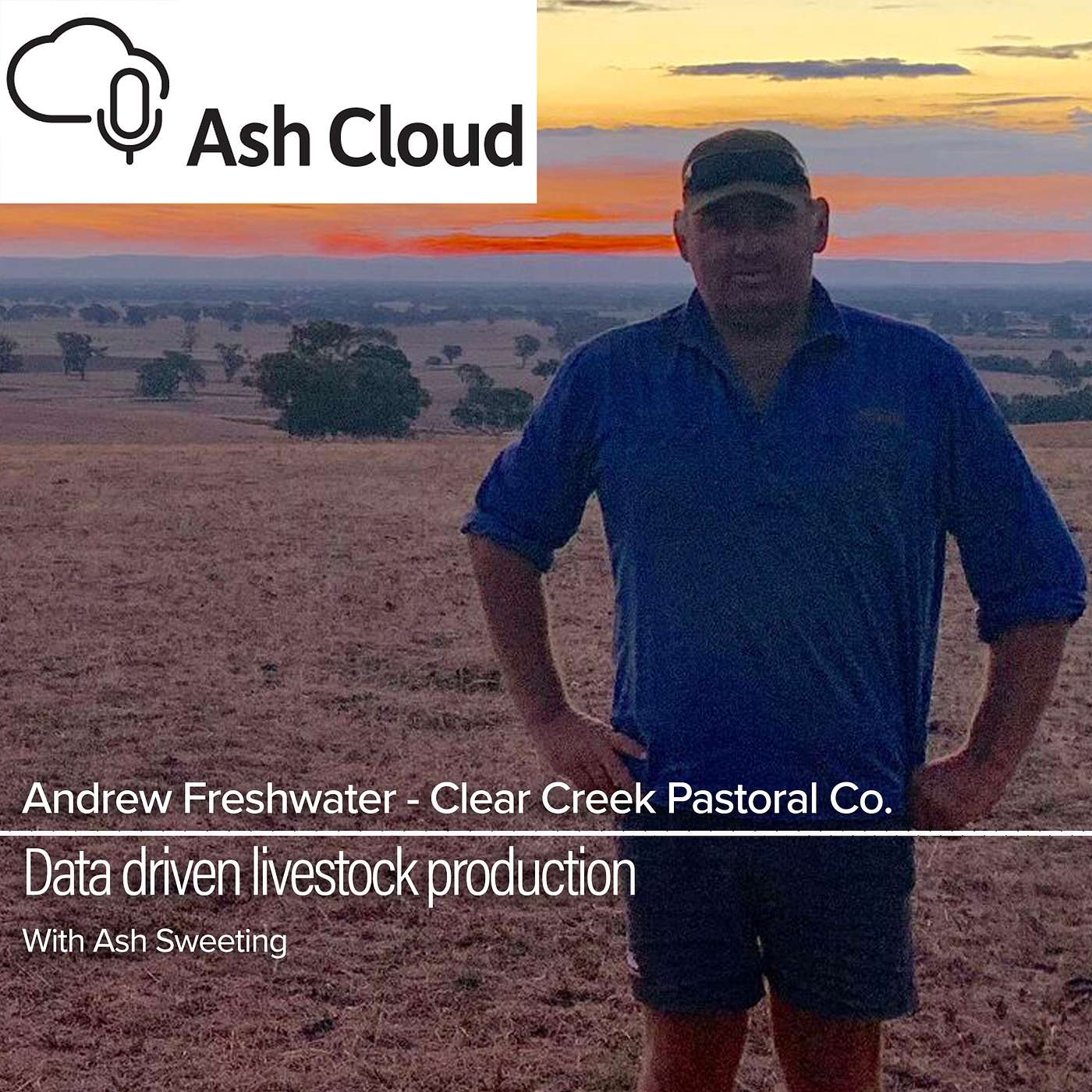 Data driven livestock production for feed efficiency with Andrew Freshwater Clear Creek Pastoral Co.