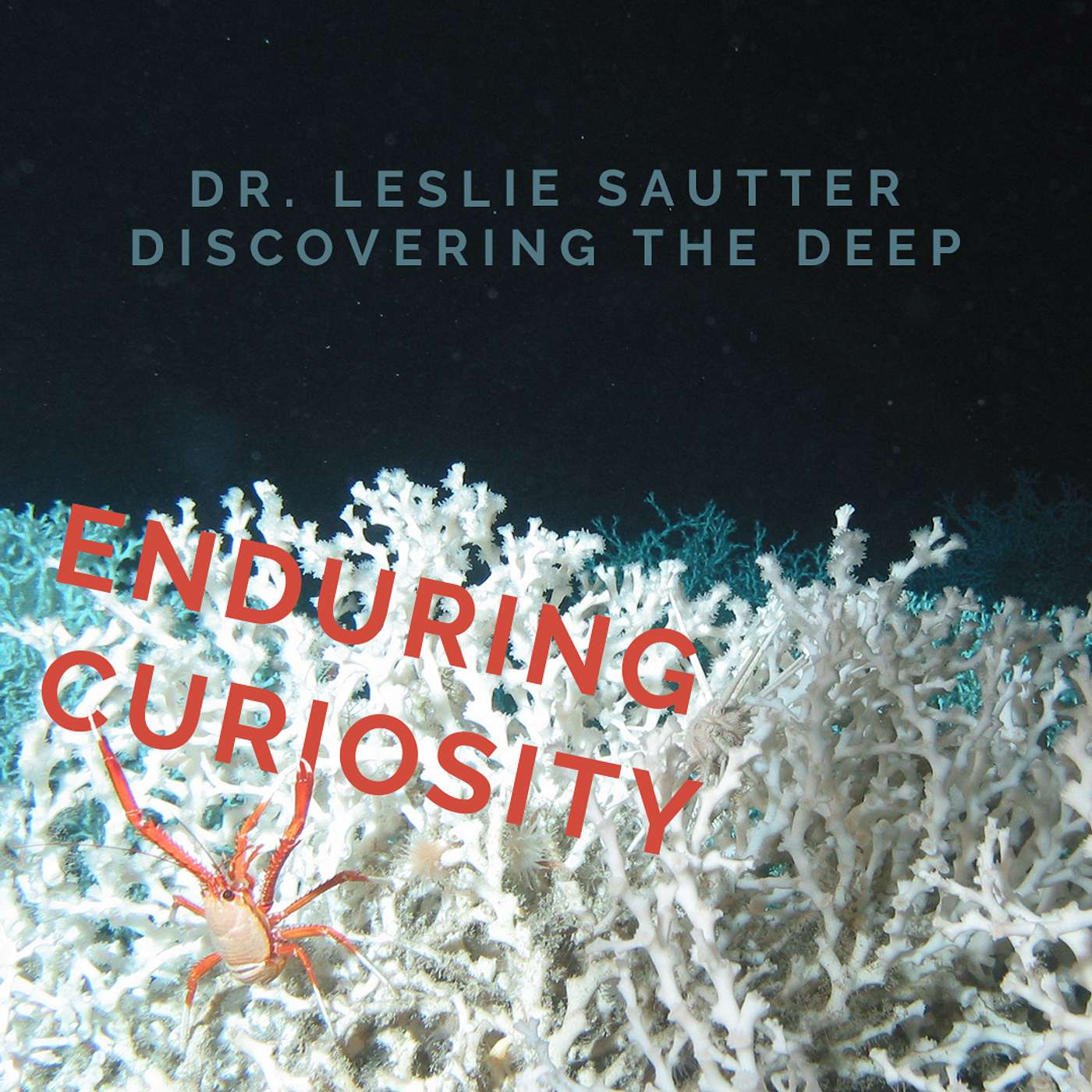 Enduring Curiosity