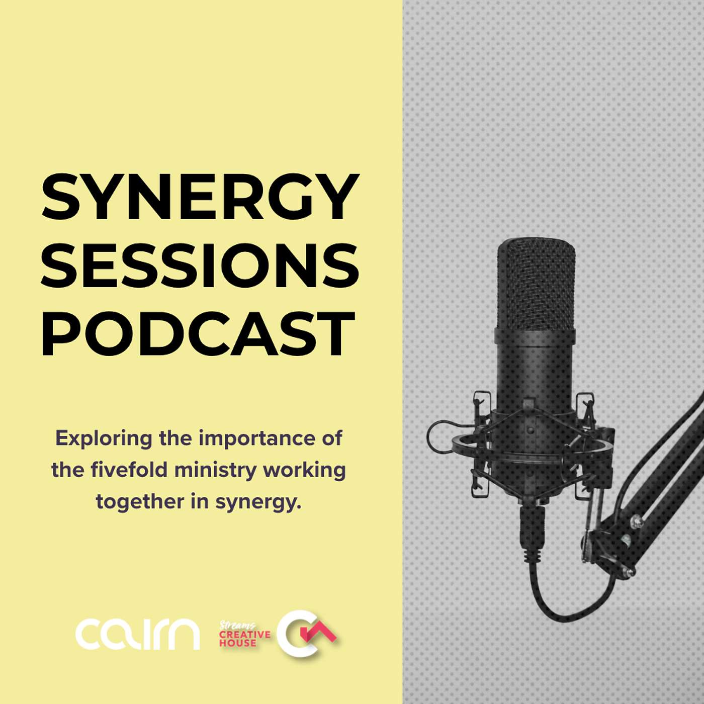Synergy Sessions