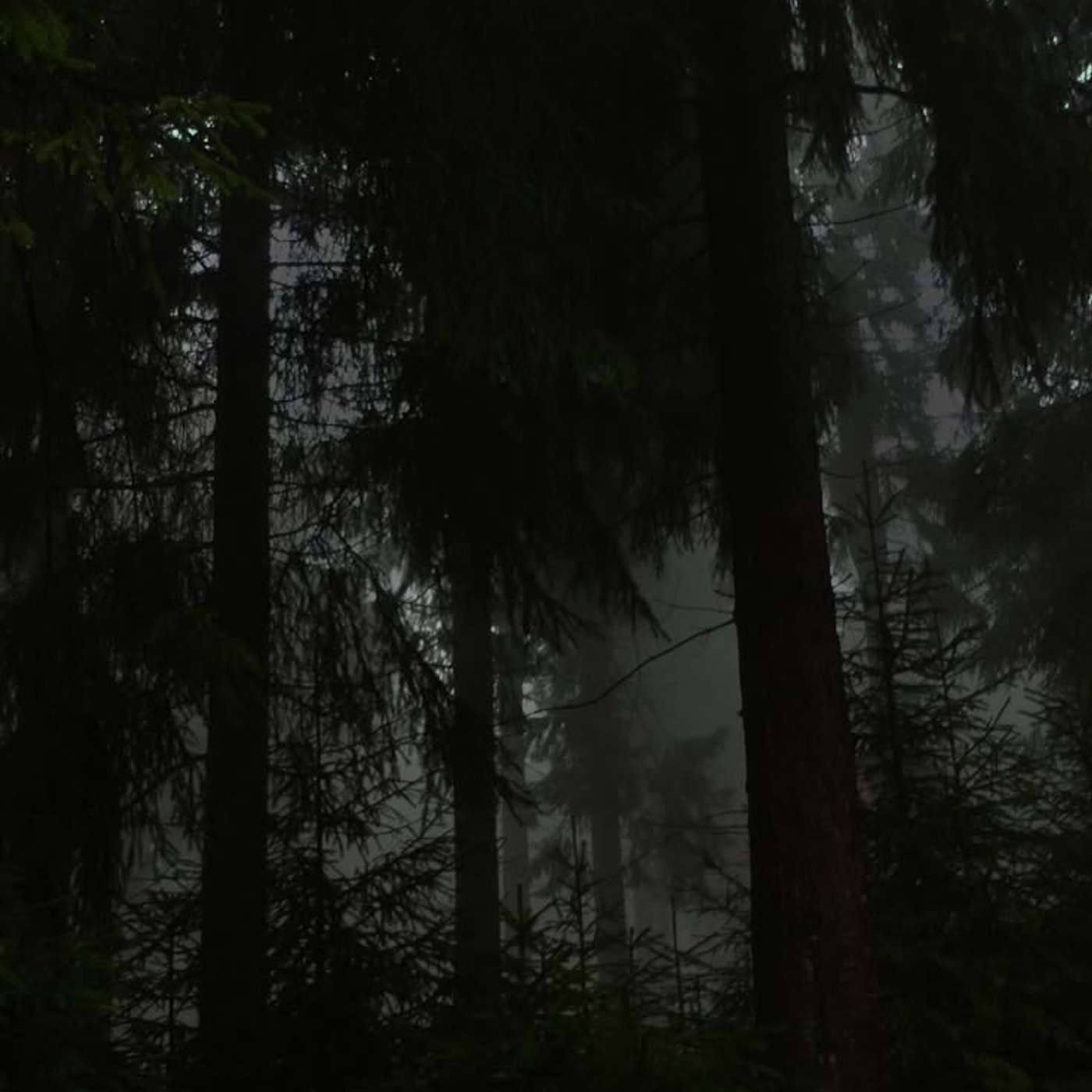 FilmFædre special: Kosmisk Horror del 2