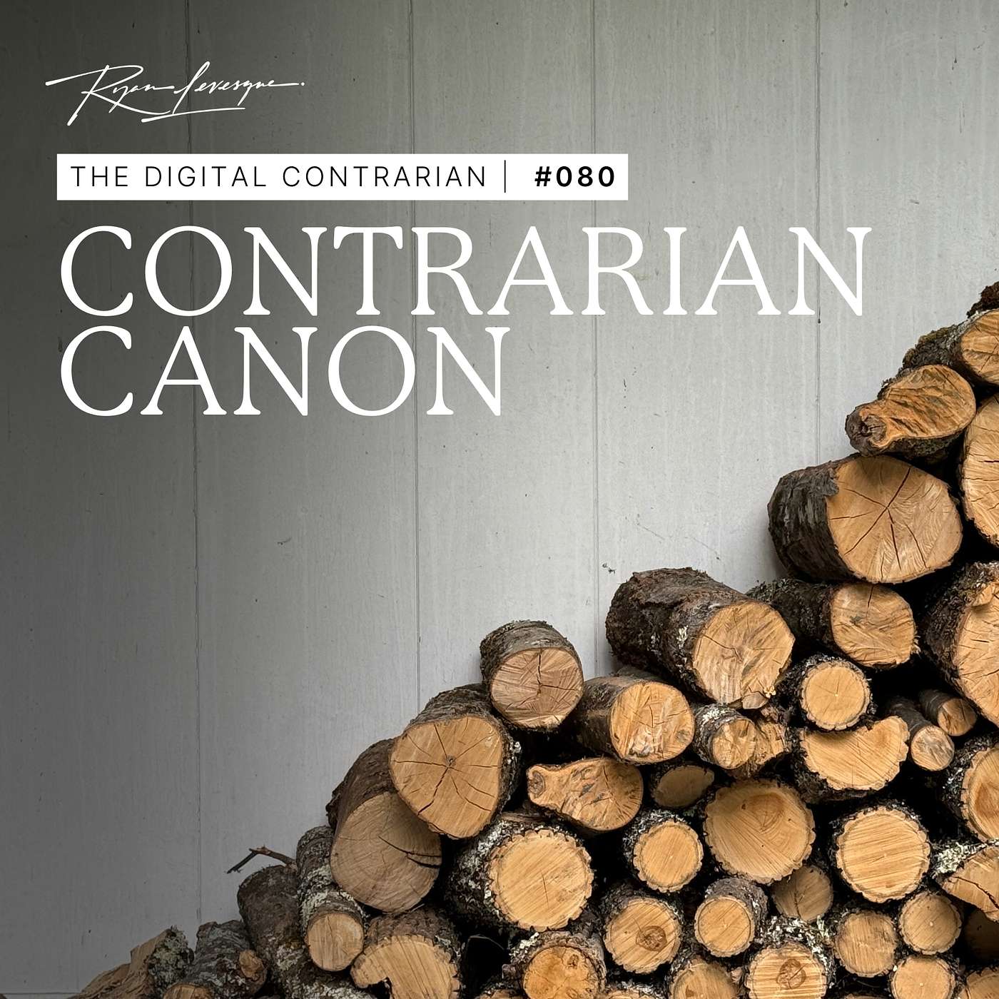 TDC #080: The "Contrarian Cannon" – 5 Overlooked Ideas That Could Shape Your 2026